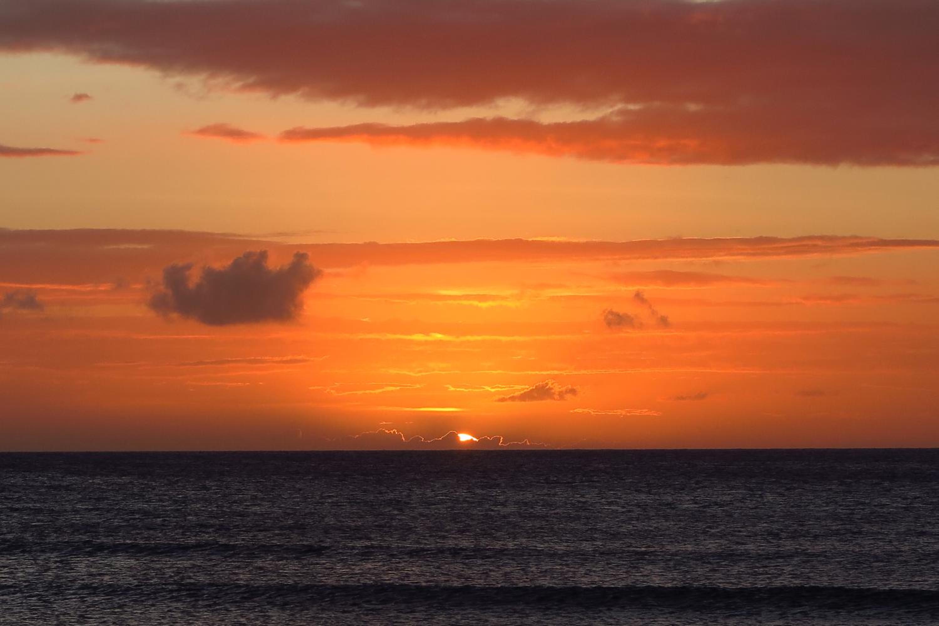 Aruba Sunset Beach Studios