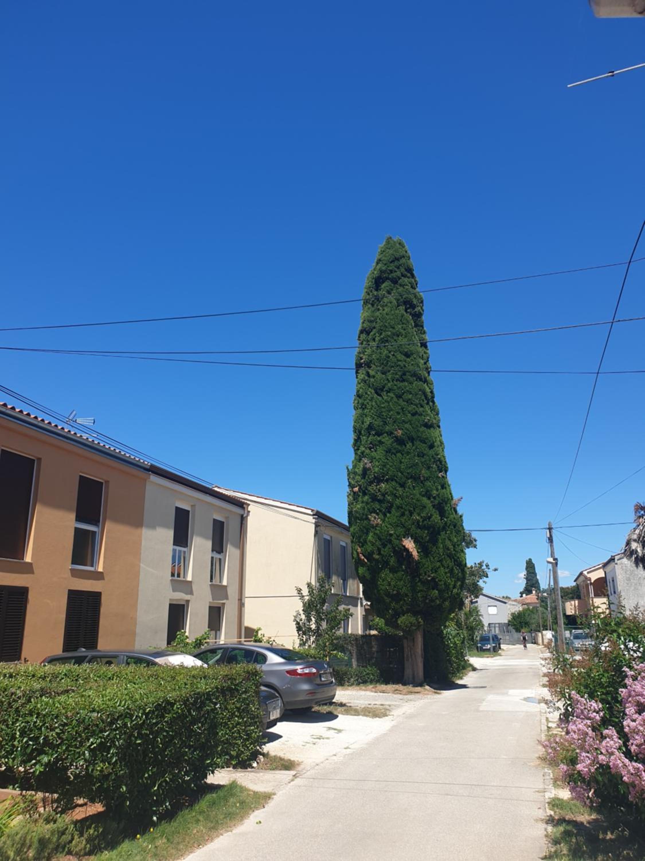 Apartmani Slavulj view 2