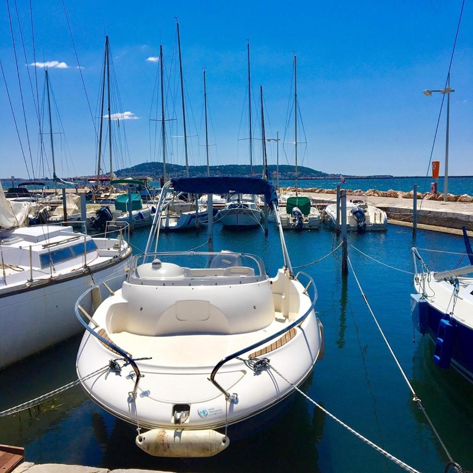 A La Voile Blanche, photo 42