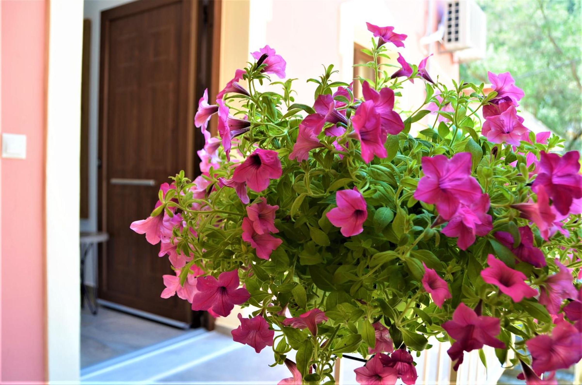 Hotel Pagiatakis Suites - Image 1