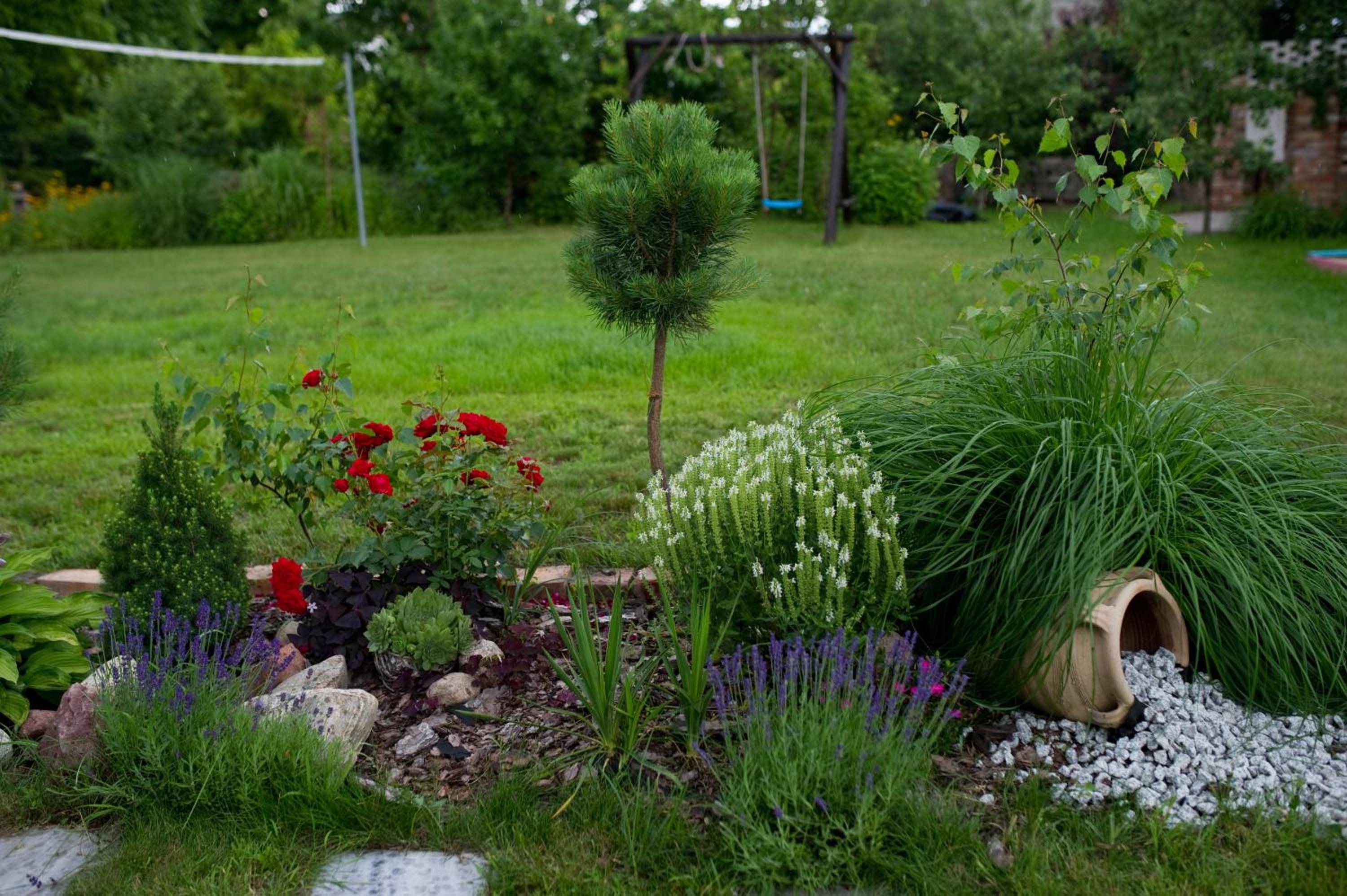 Photo 23