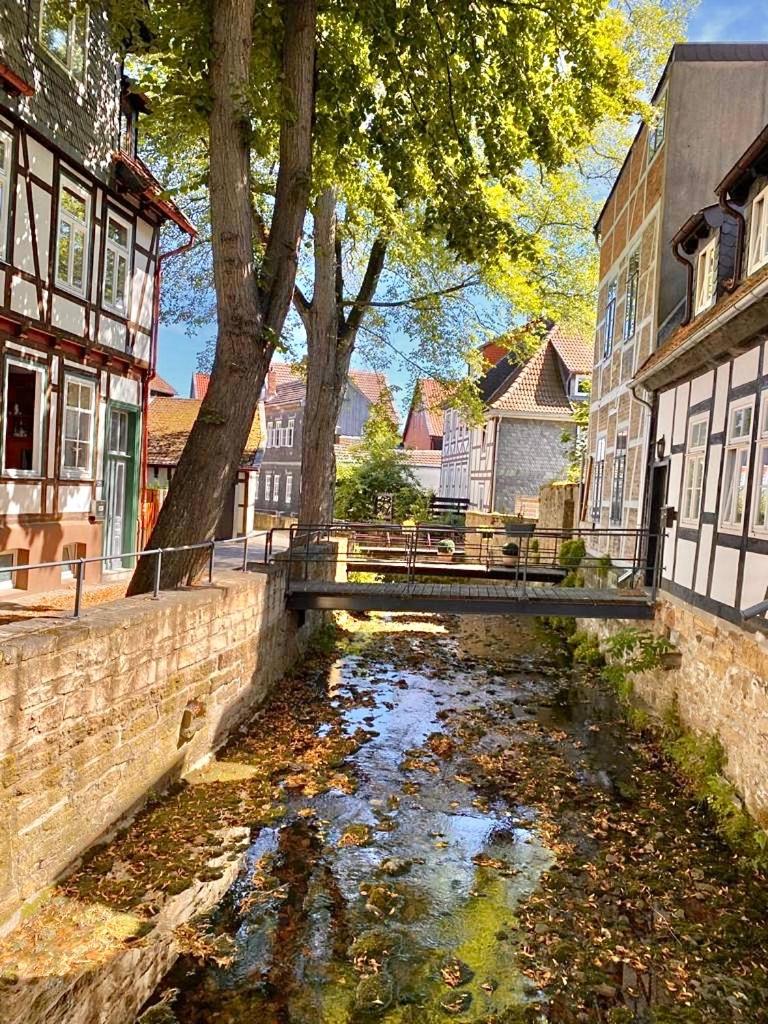 Ferienhaus Zur Abzuchtinsel