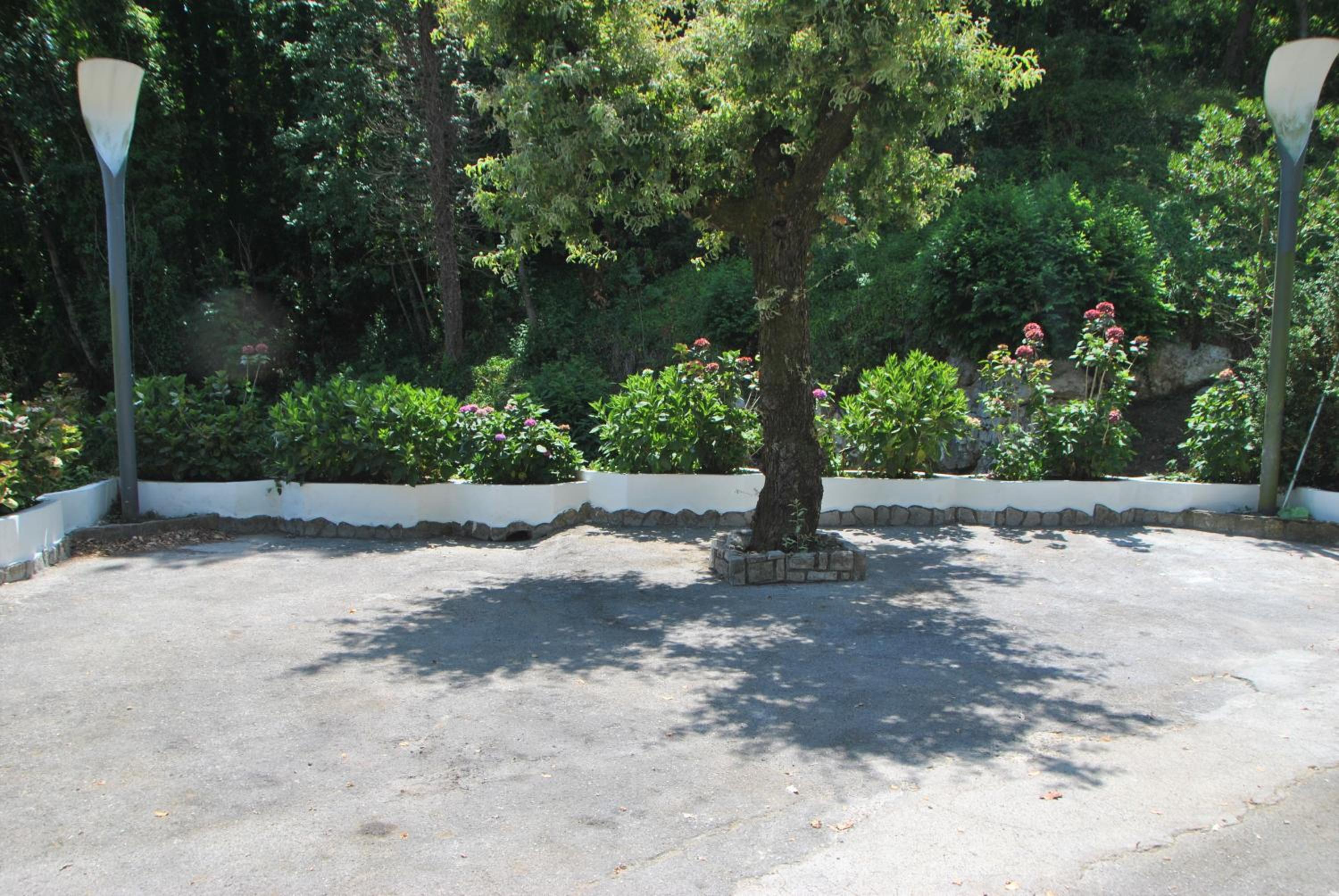 Photo 37