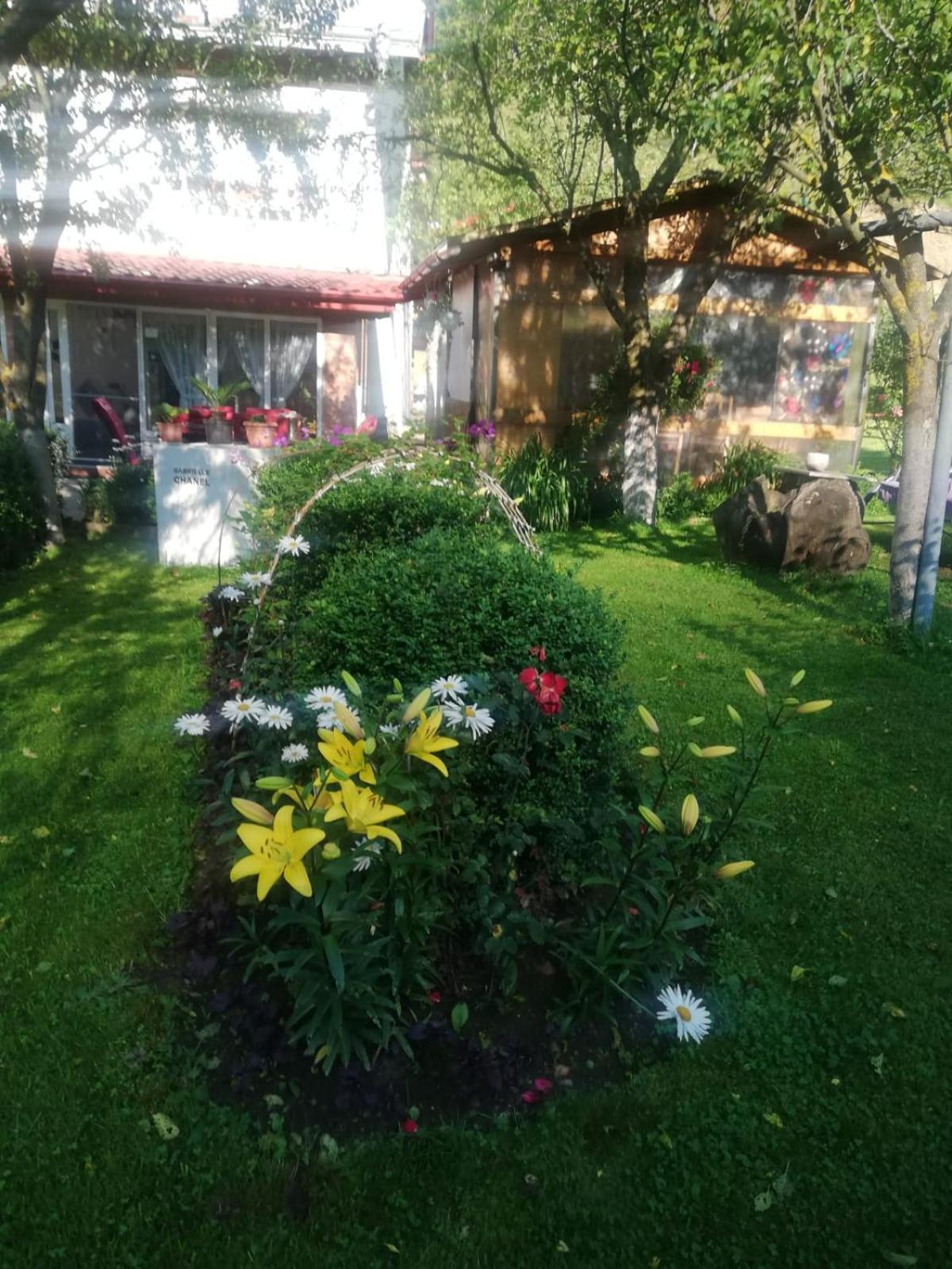 Photo 26