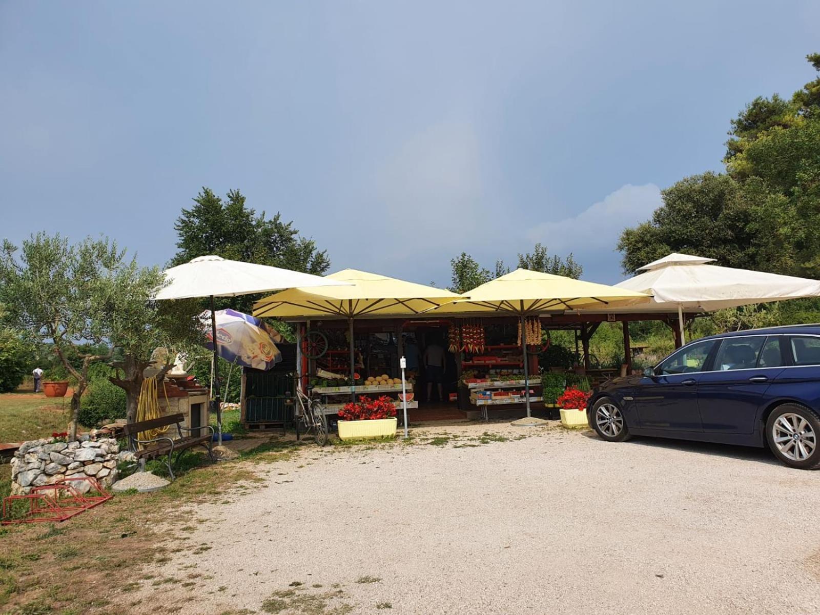 Mobile Home Leggiero 156 - Porton Nature Hideouts