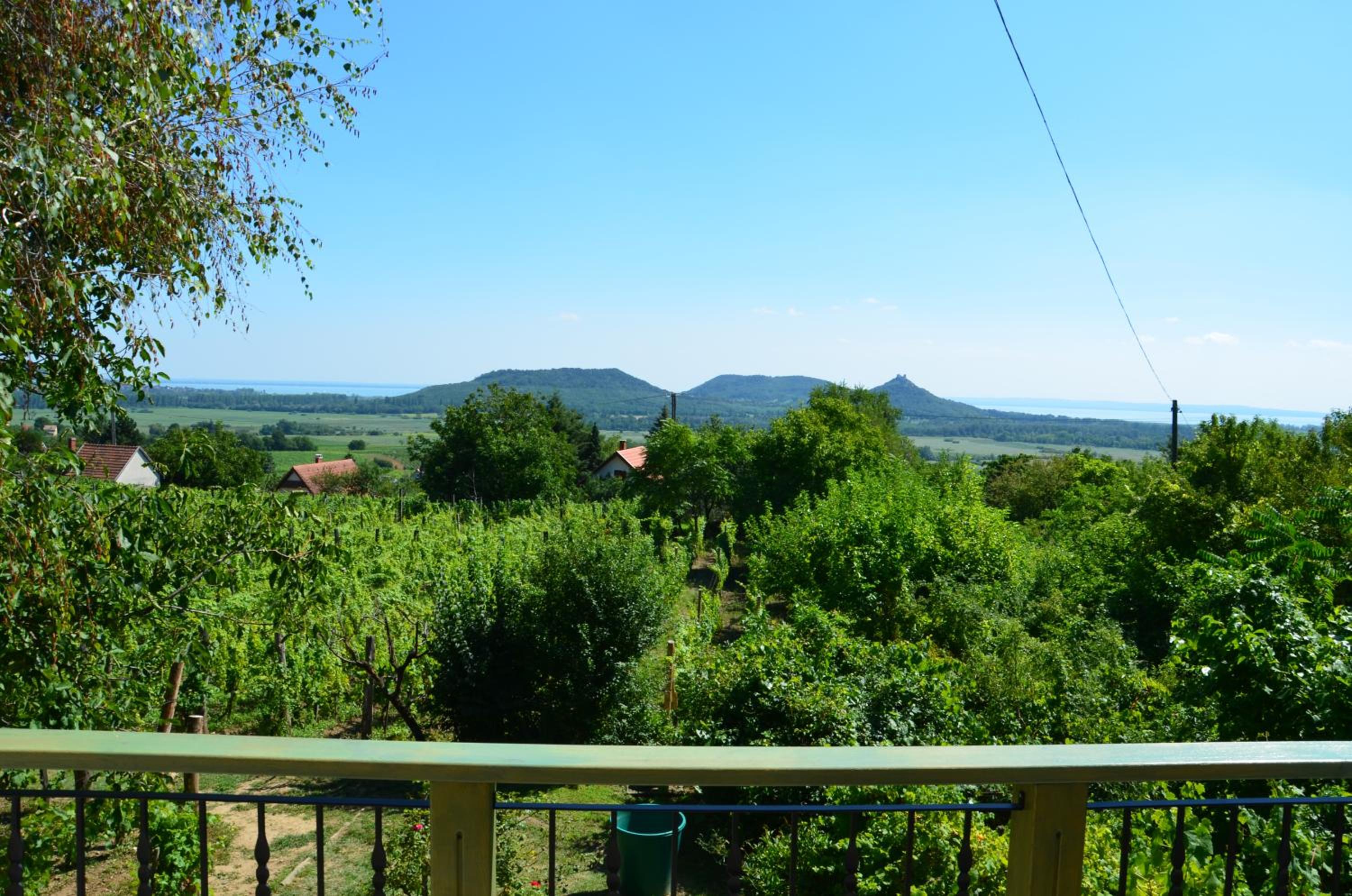 Grand Cru 3. Vendégház view 2