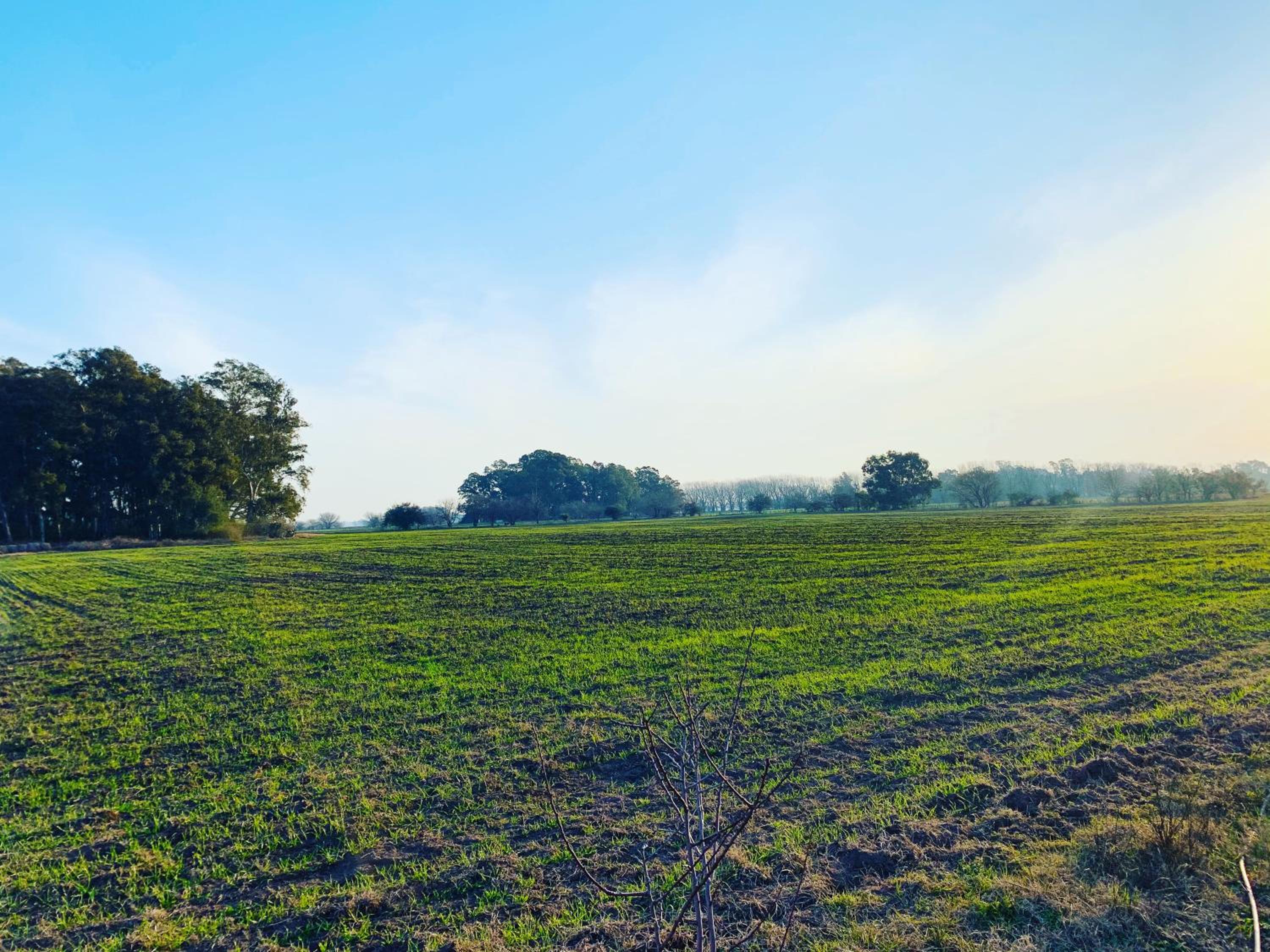 Las Moras Cabañas de campo