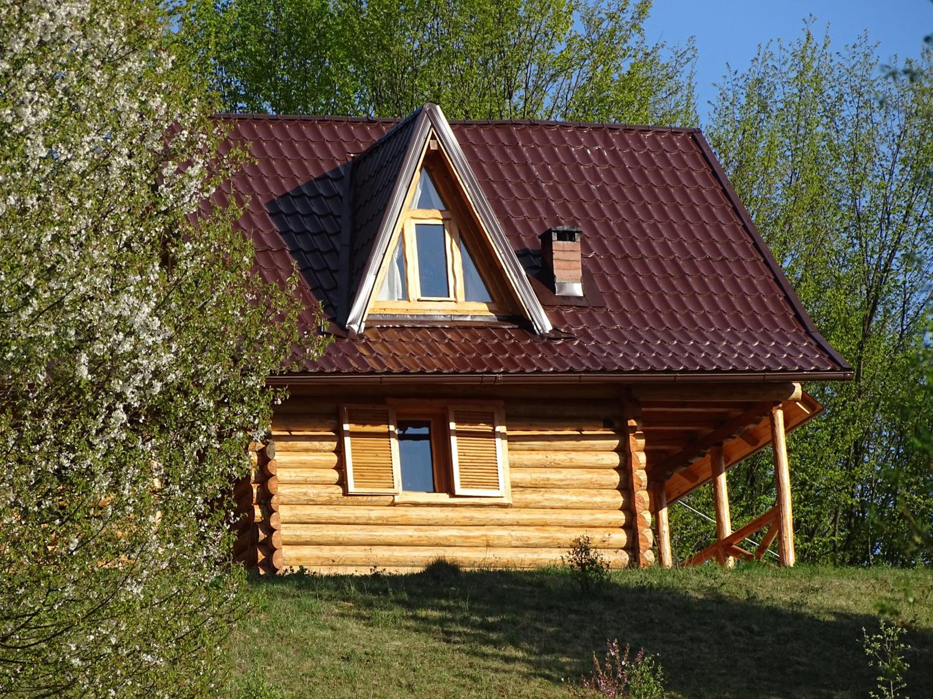 Photo 50