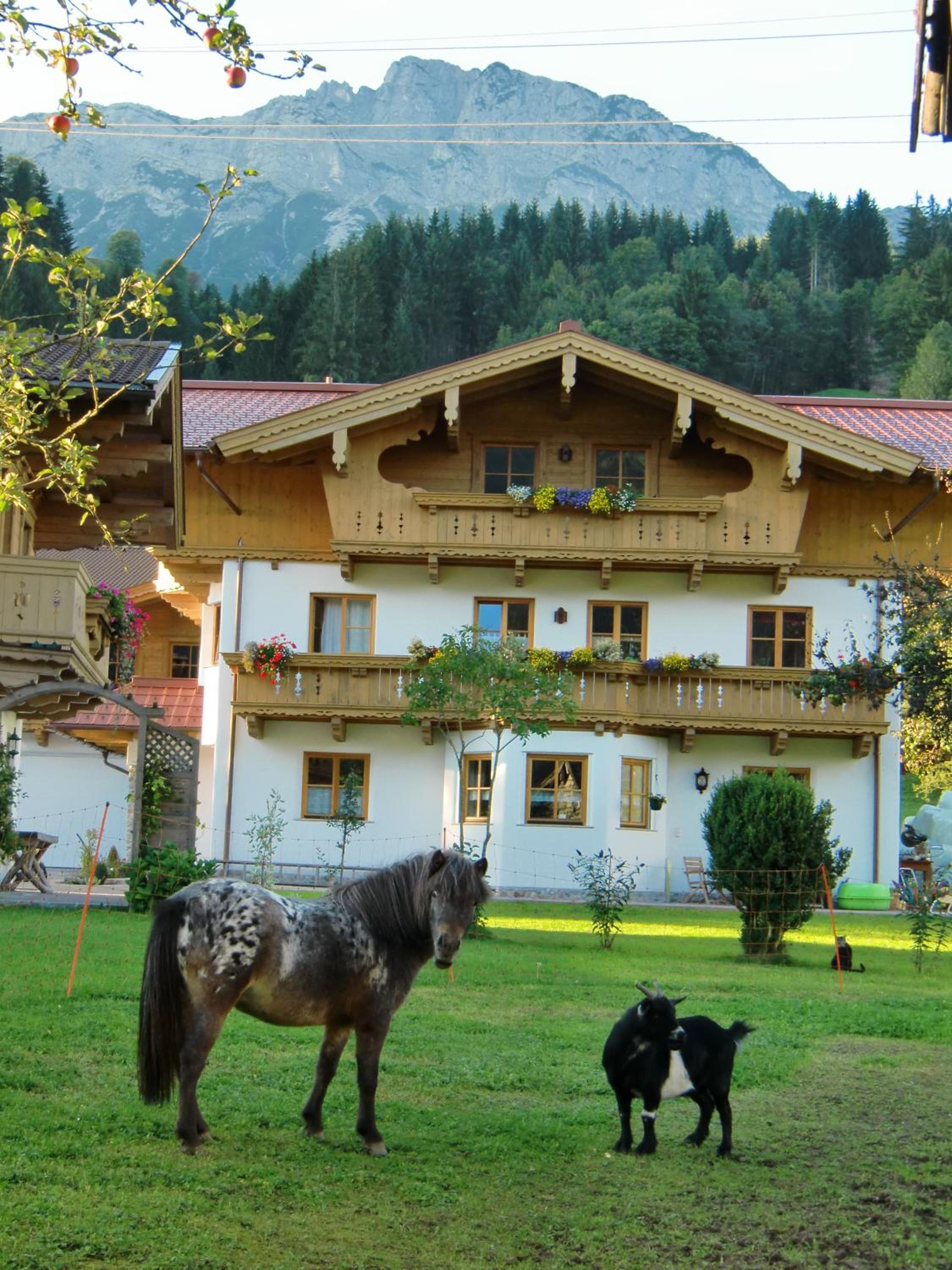 Tischlergut