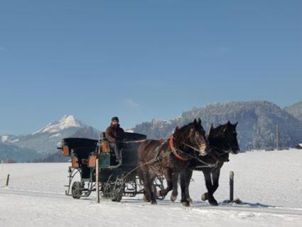 Tischlergut