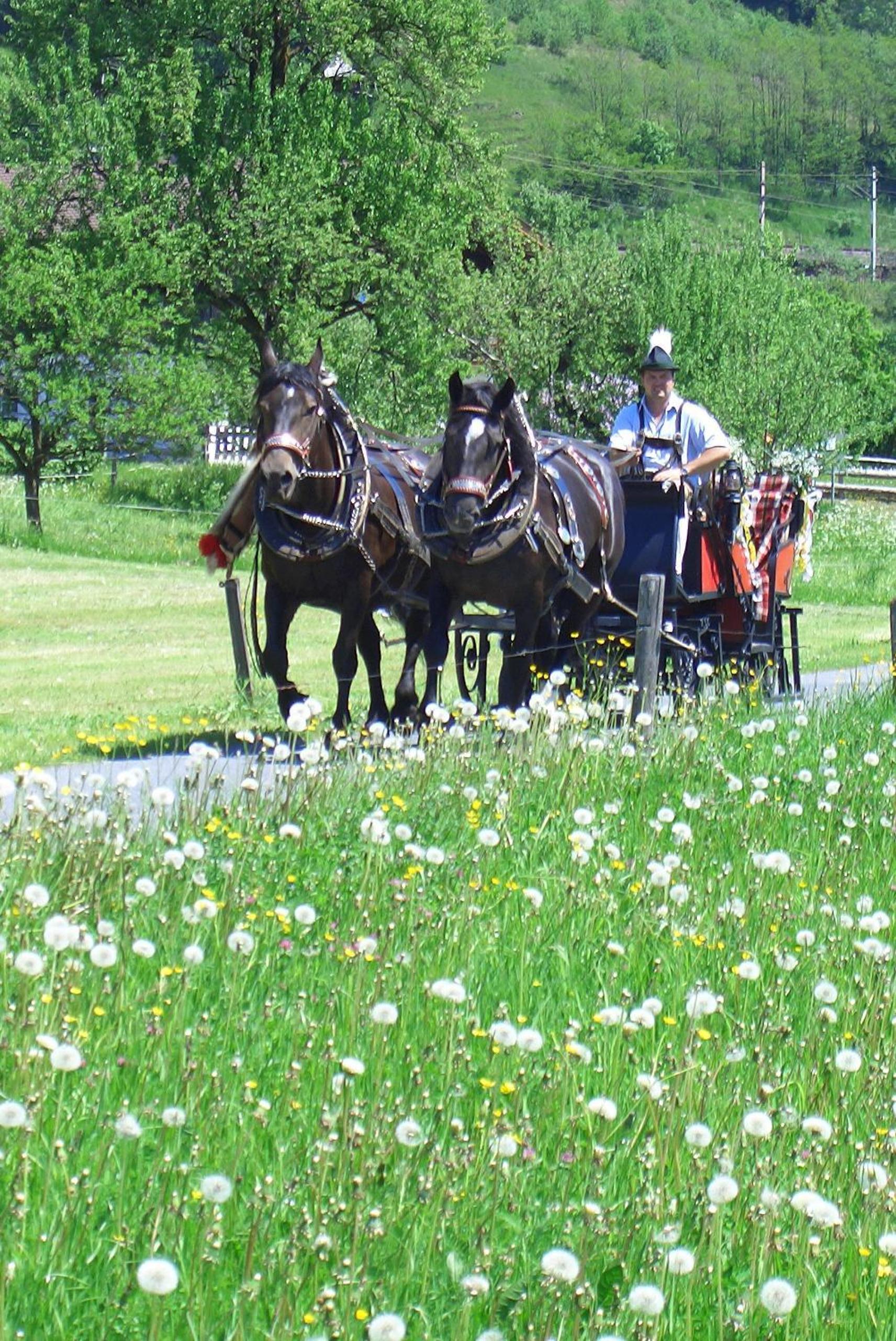 Tischlergut