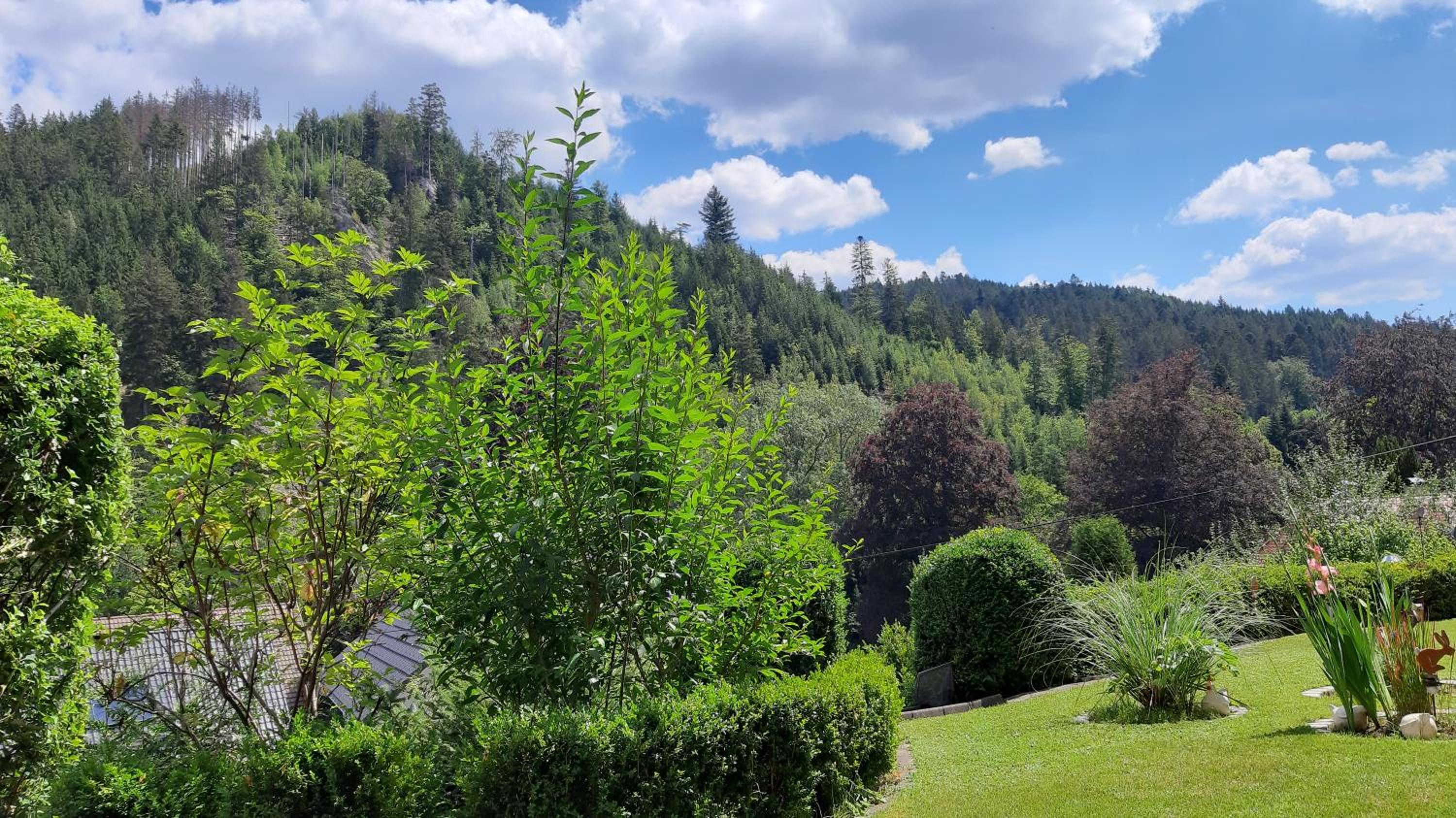 Landhaus Schwaben view 4