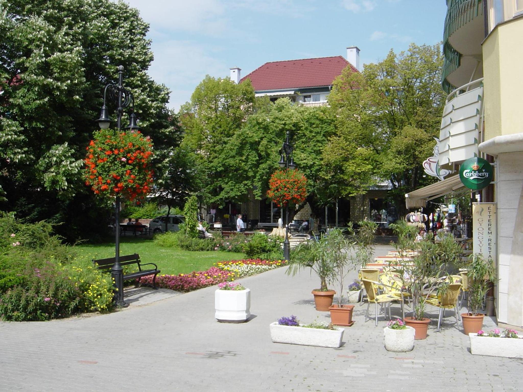 Photo 40