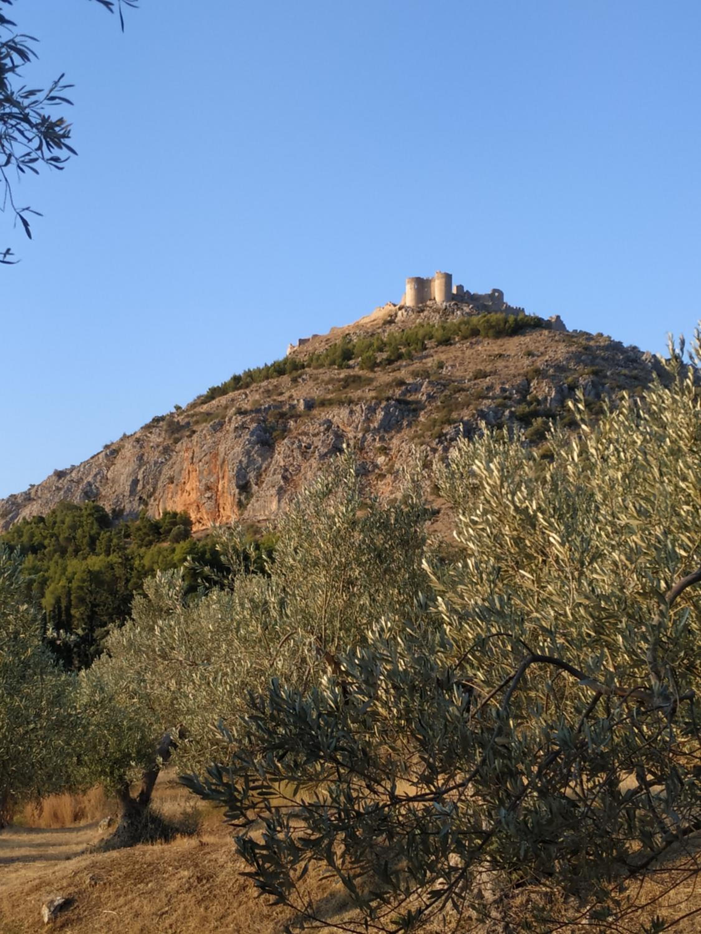 Photo 19