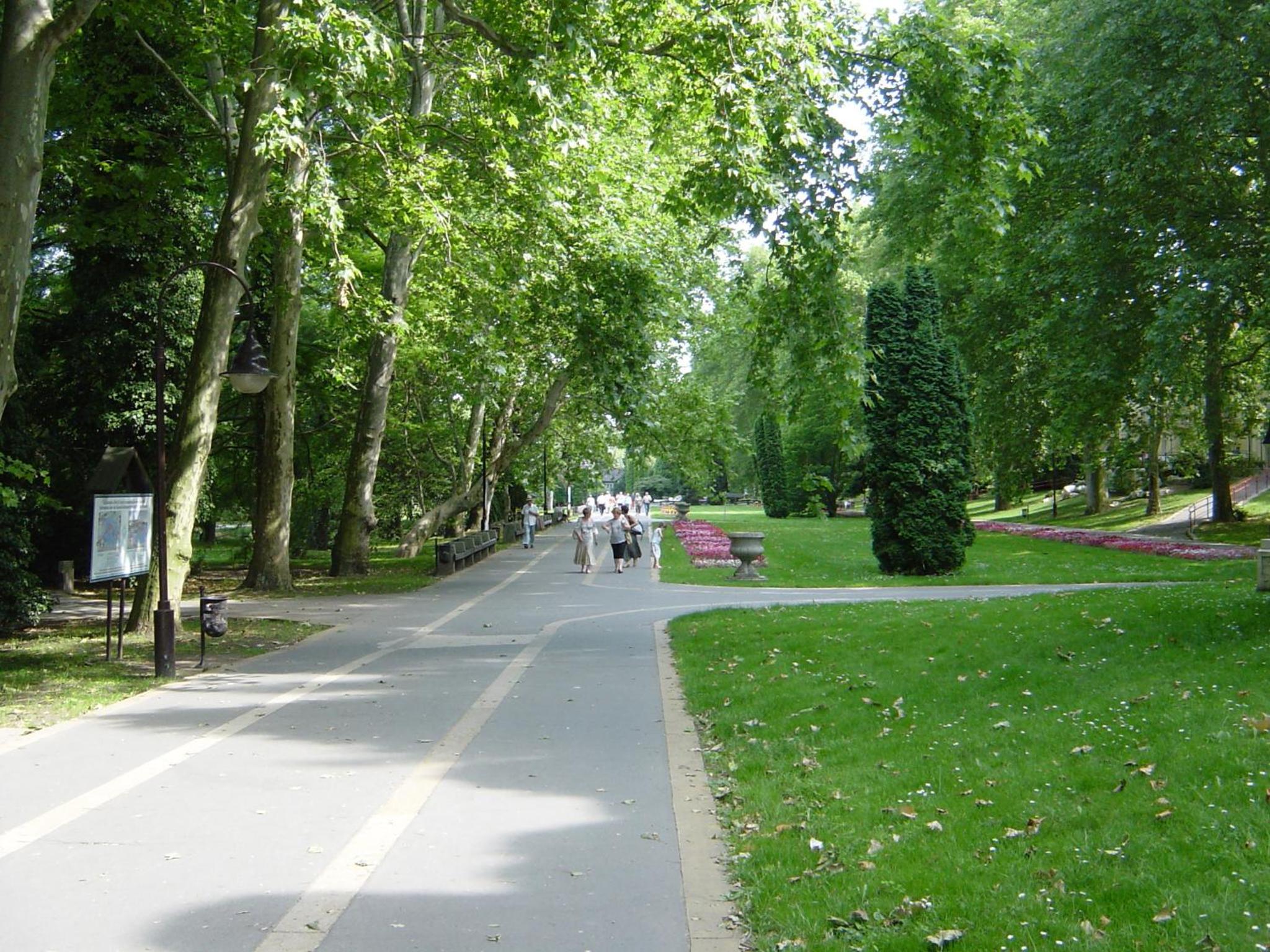 Photo 42