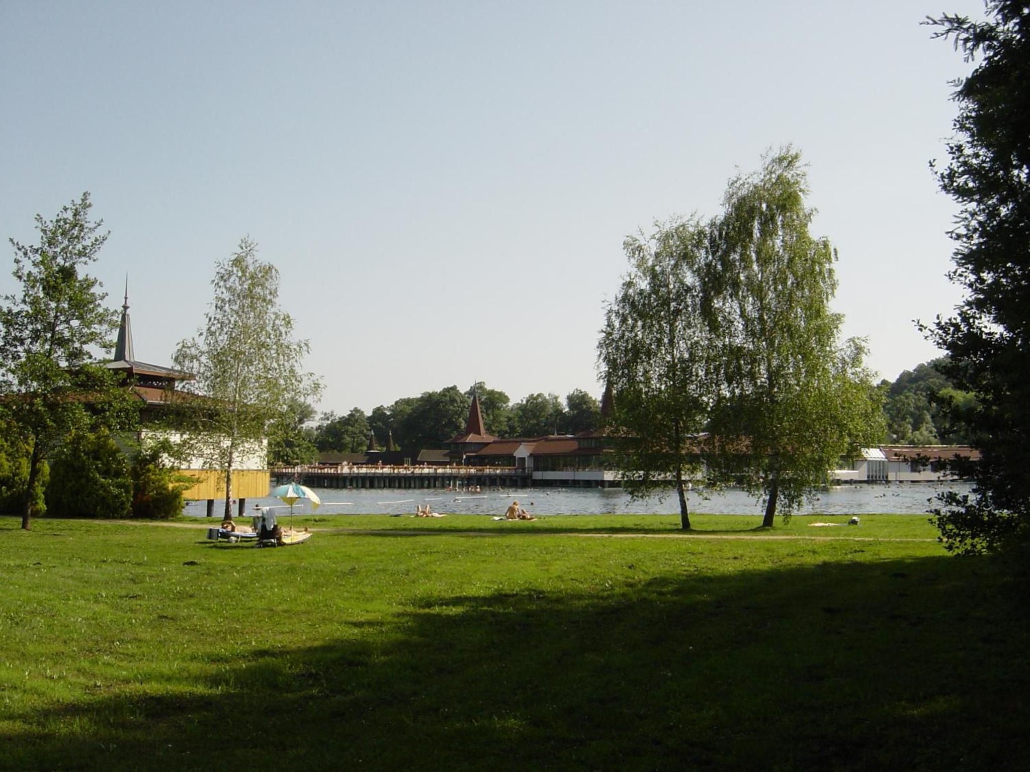 Photo 33