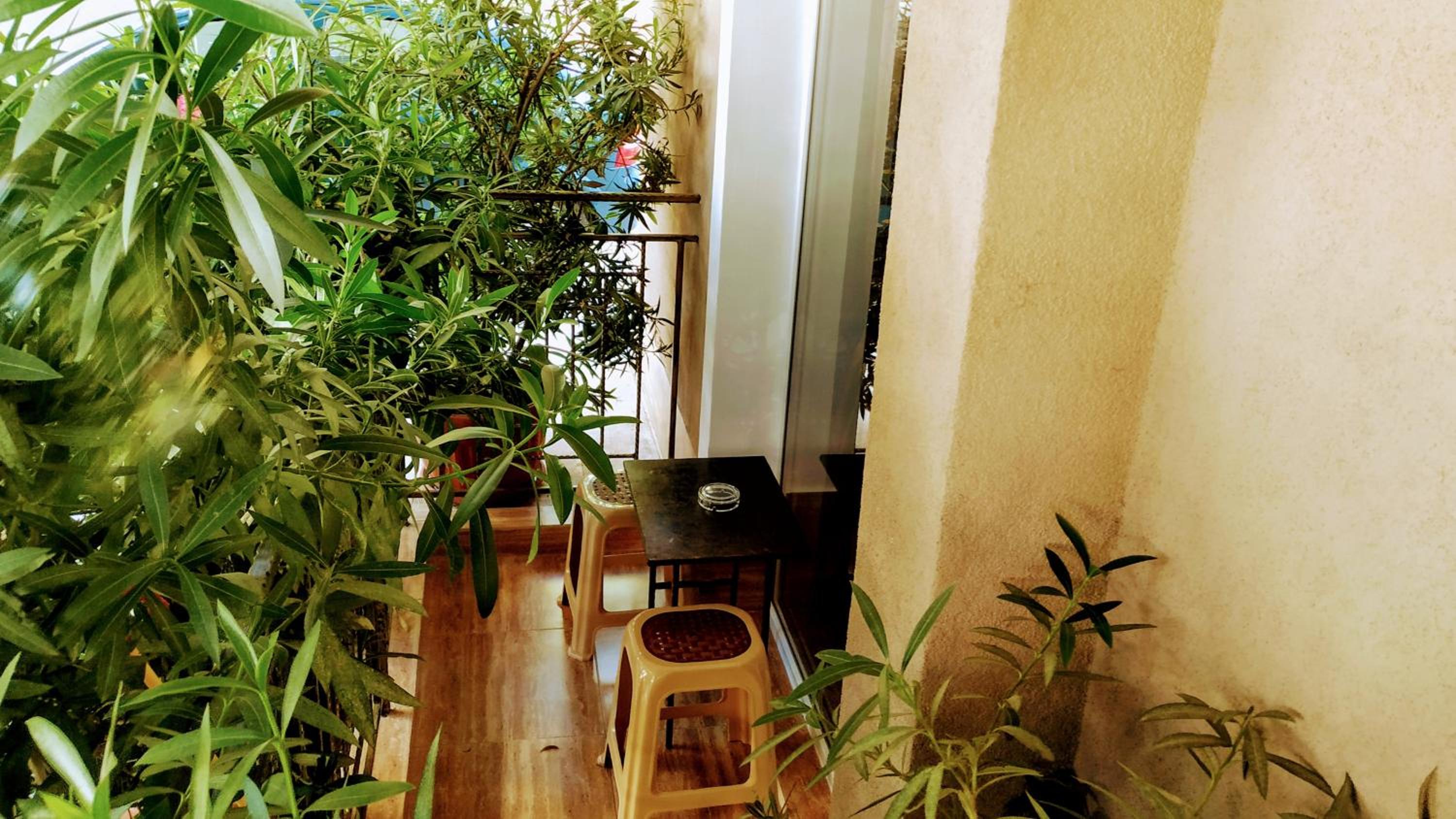 Dracena Guesthouse