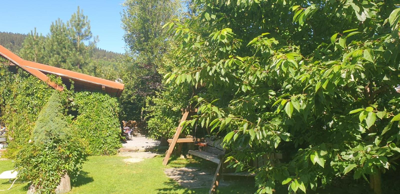Photo 48