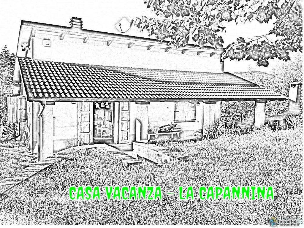 Capannina Vesale photo 2