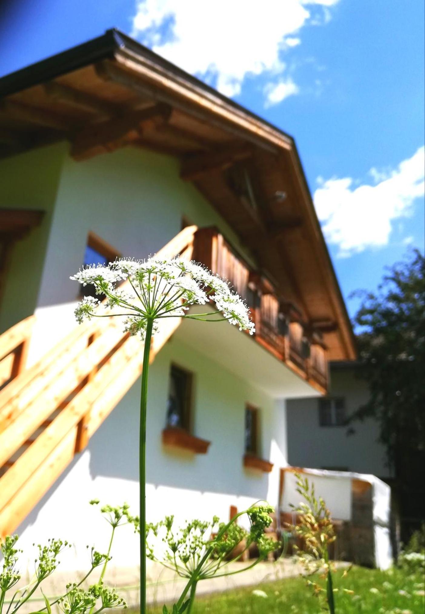 Ferienwohnung Auenheim