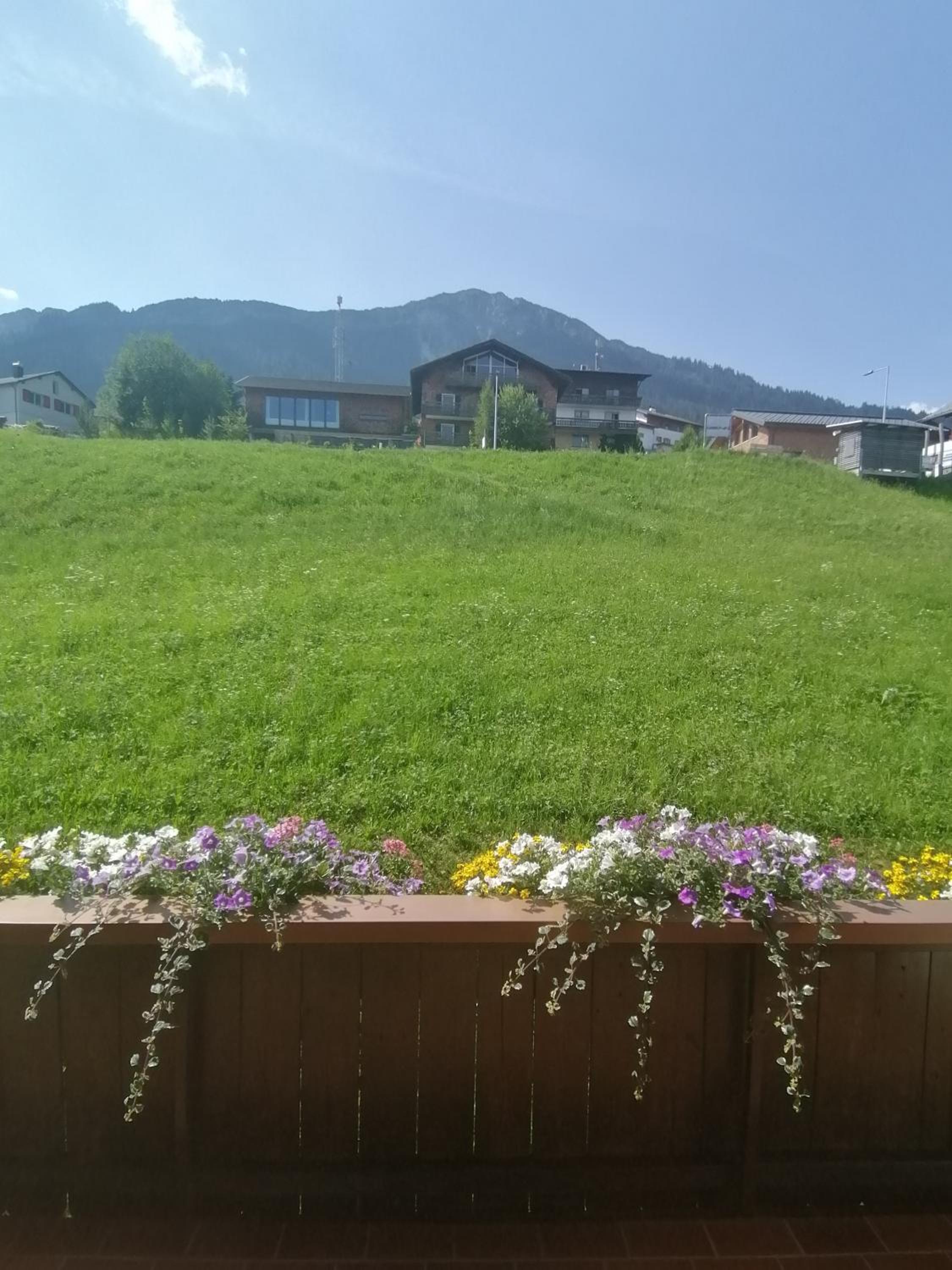 Haus Schwarzmann view 4