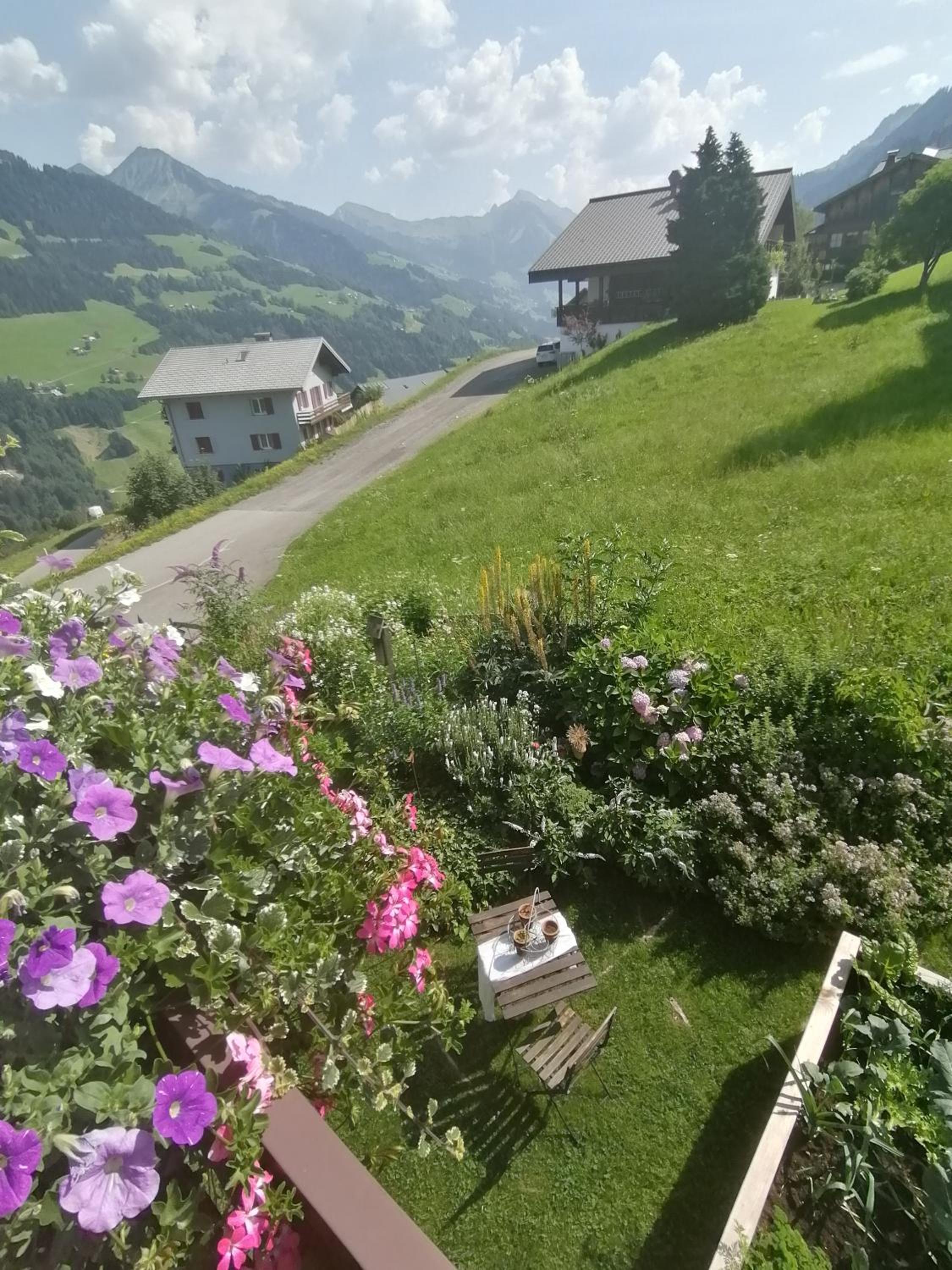 Haus Schwarzmann view 5