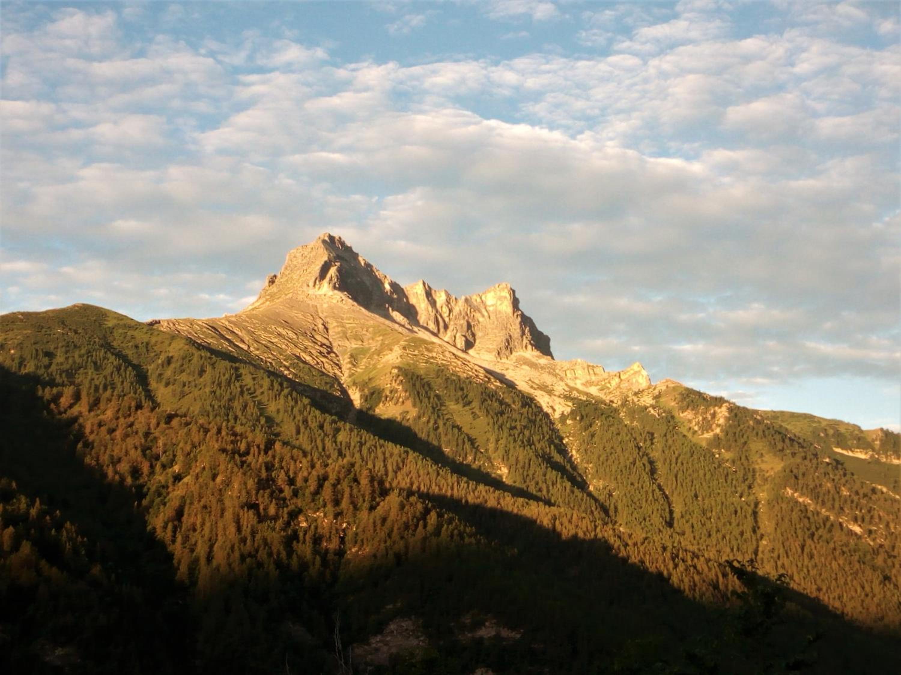 Photo 41