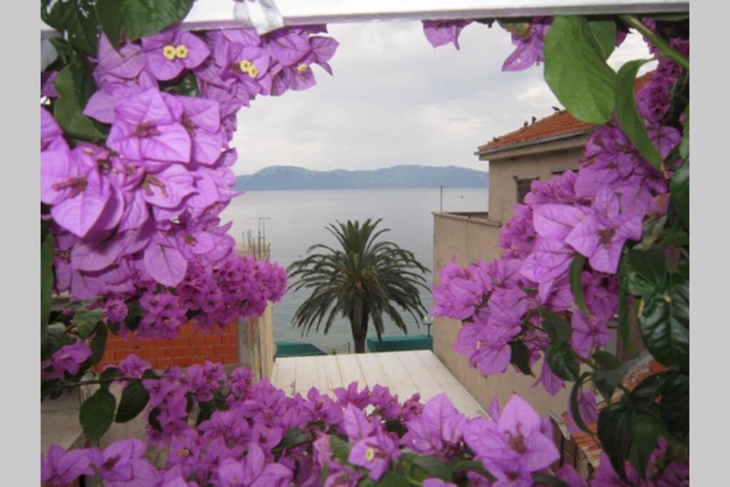 Apartman Graciela Perfect location Gradac view 2