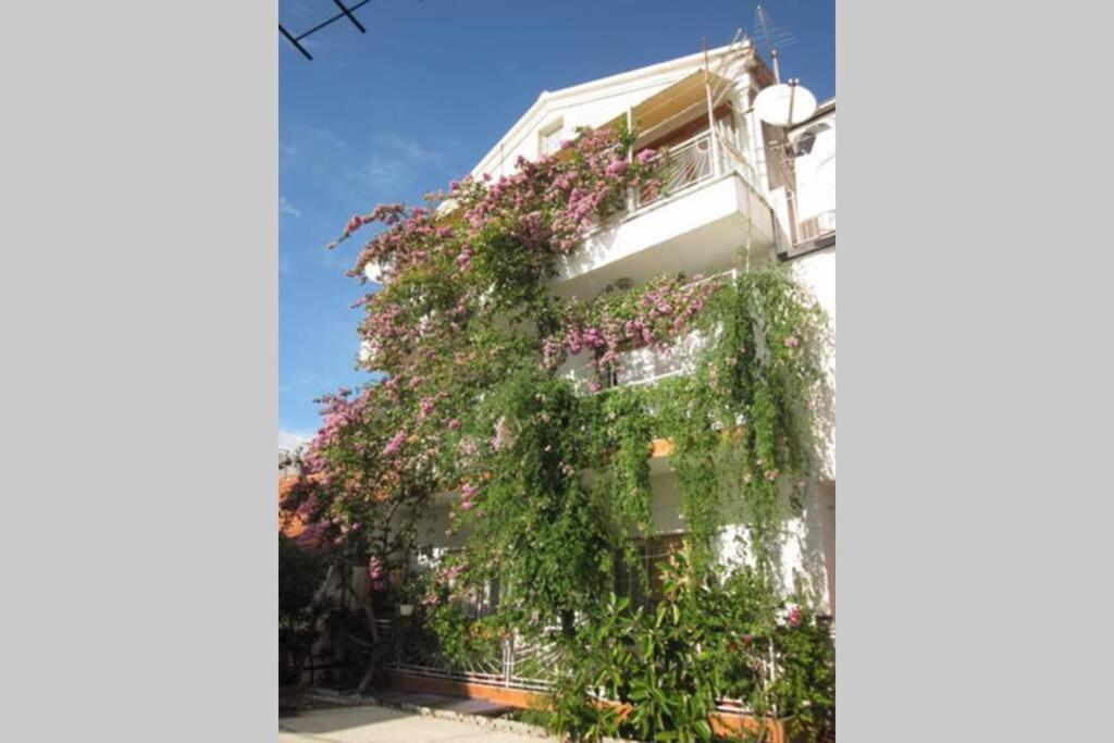 Apartman Graciela Perfect location Gradac view 3