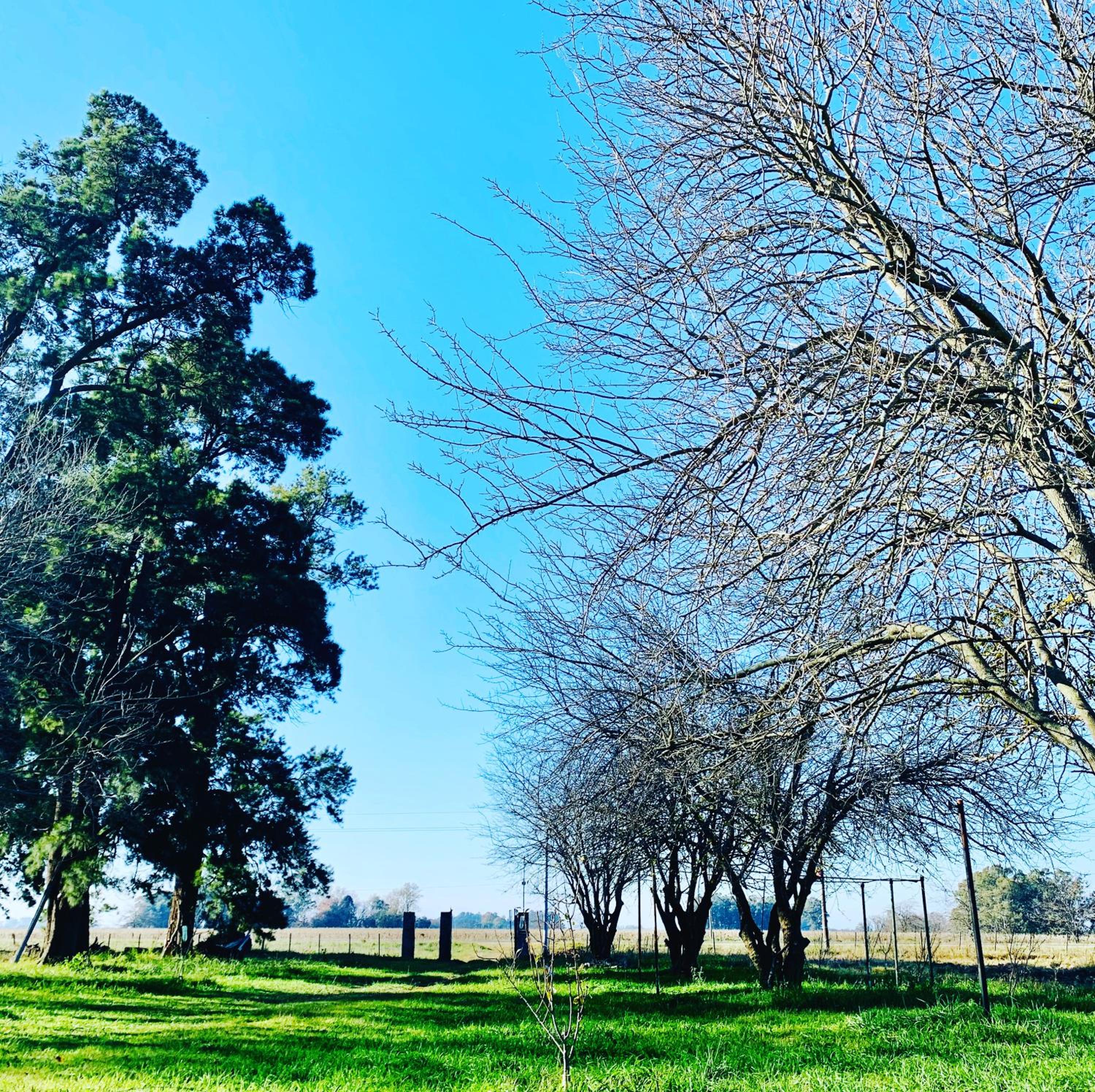 Las Moras Cabañas de campo