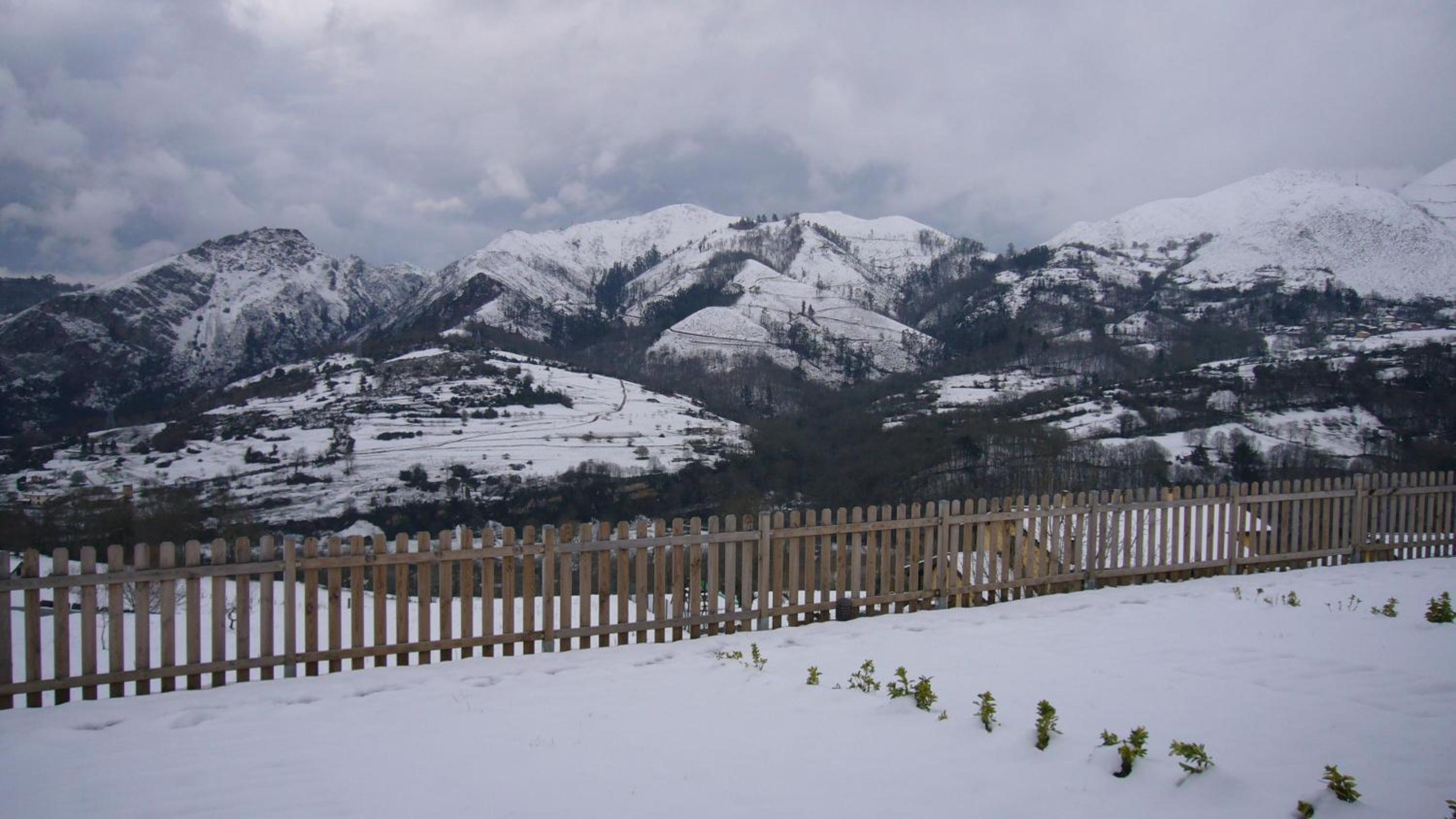 Photo 42