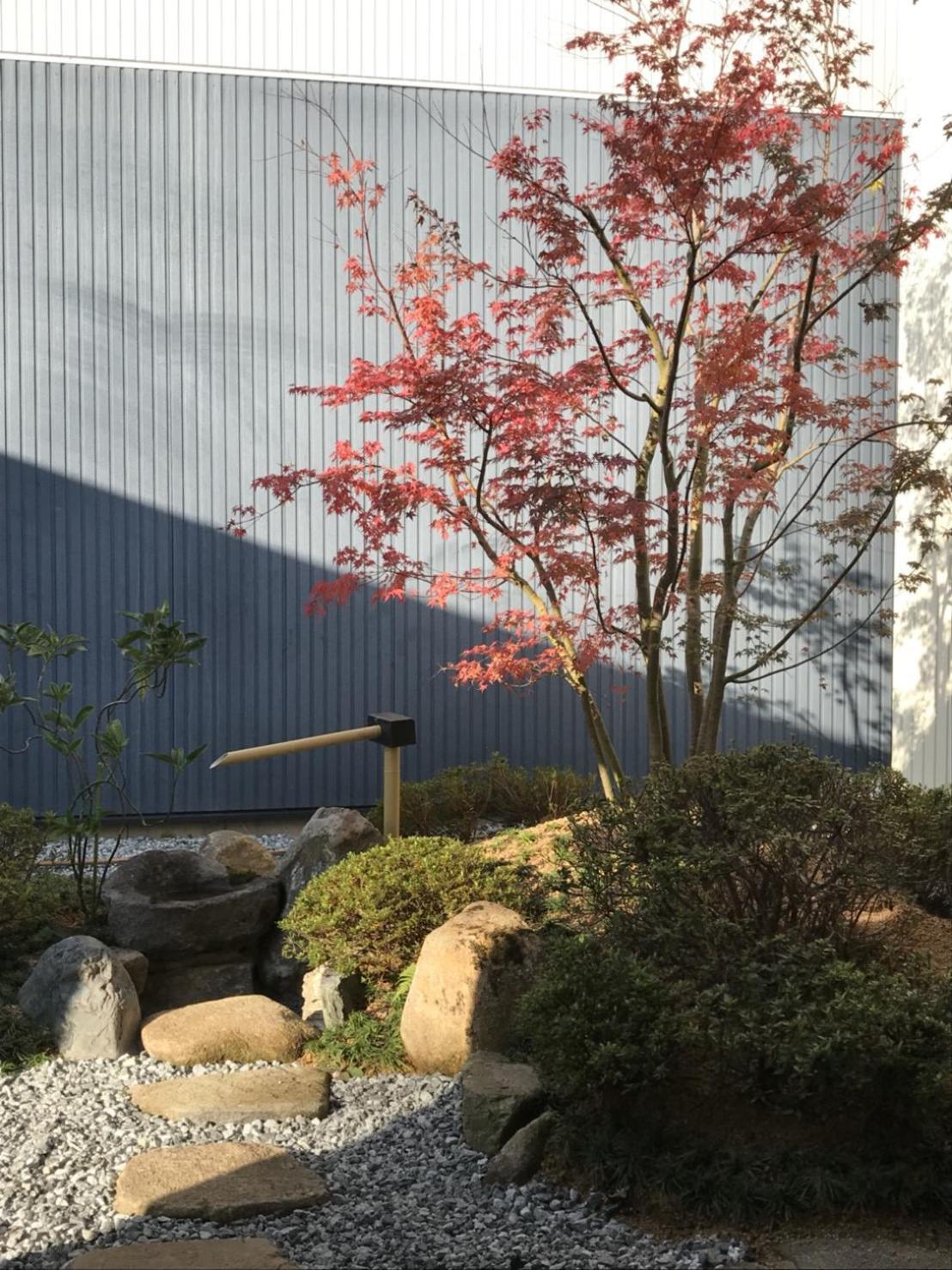 Taisho Aburaya