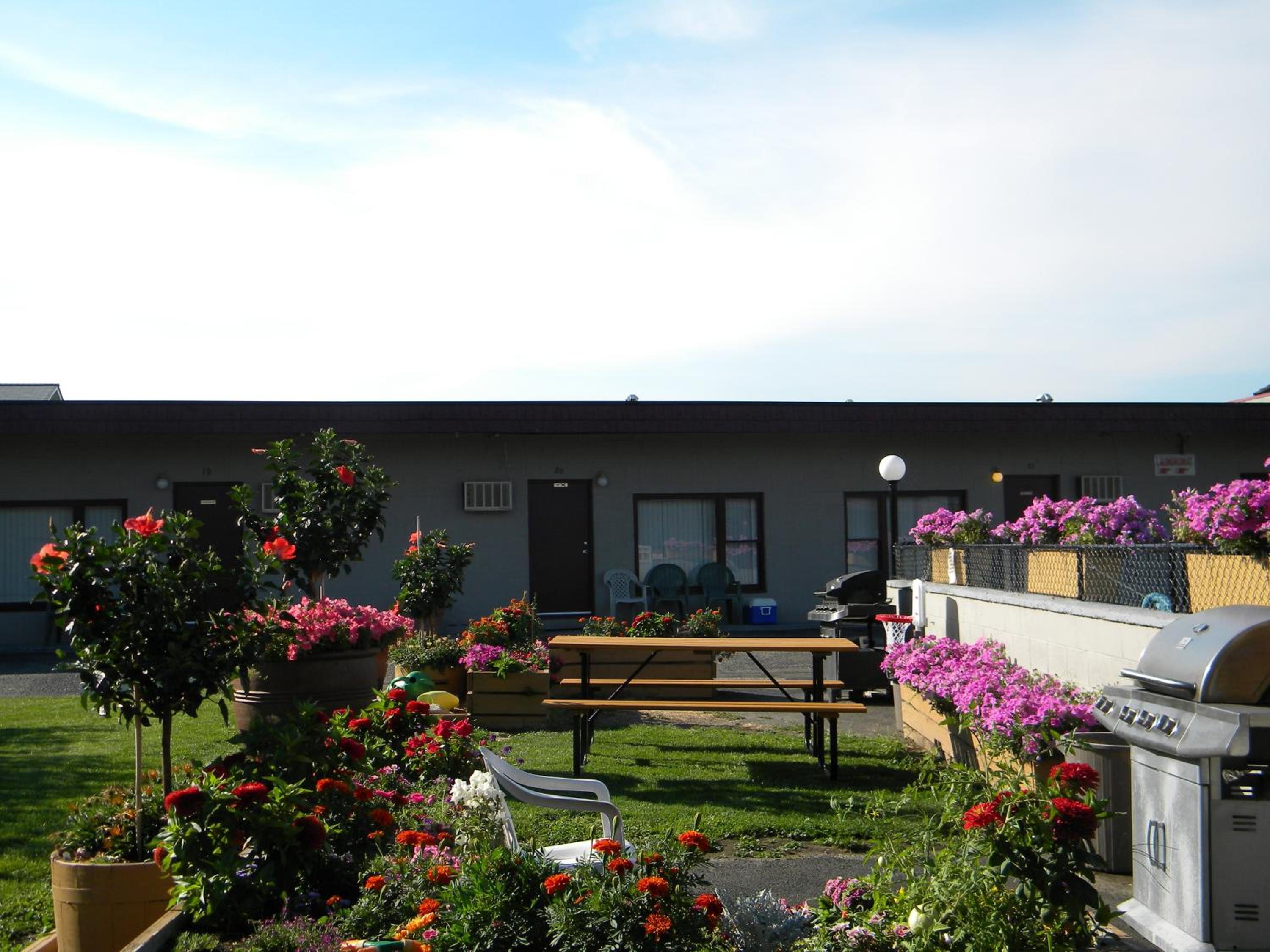 Apple Tree Inn