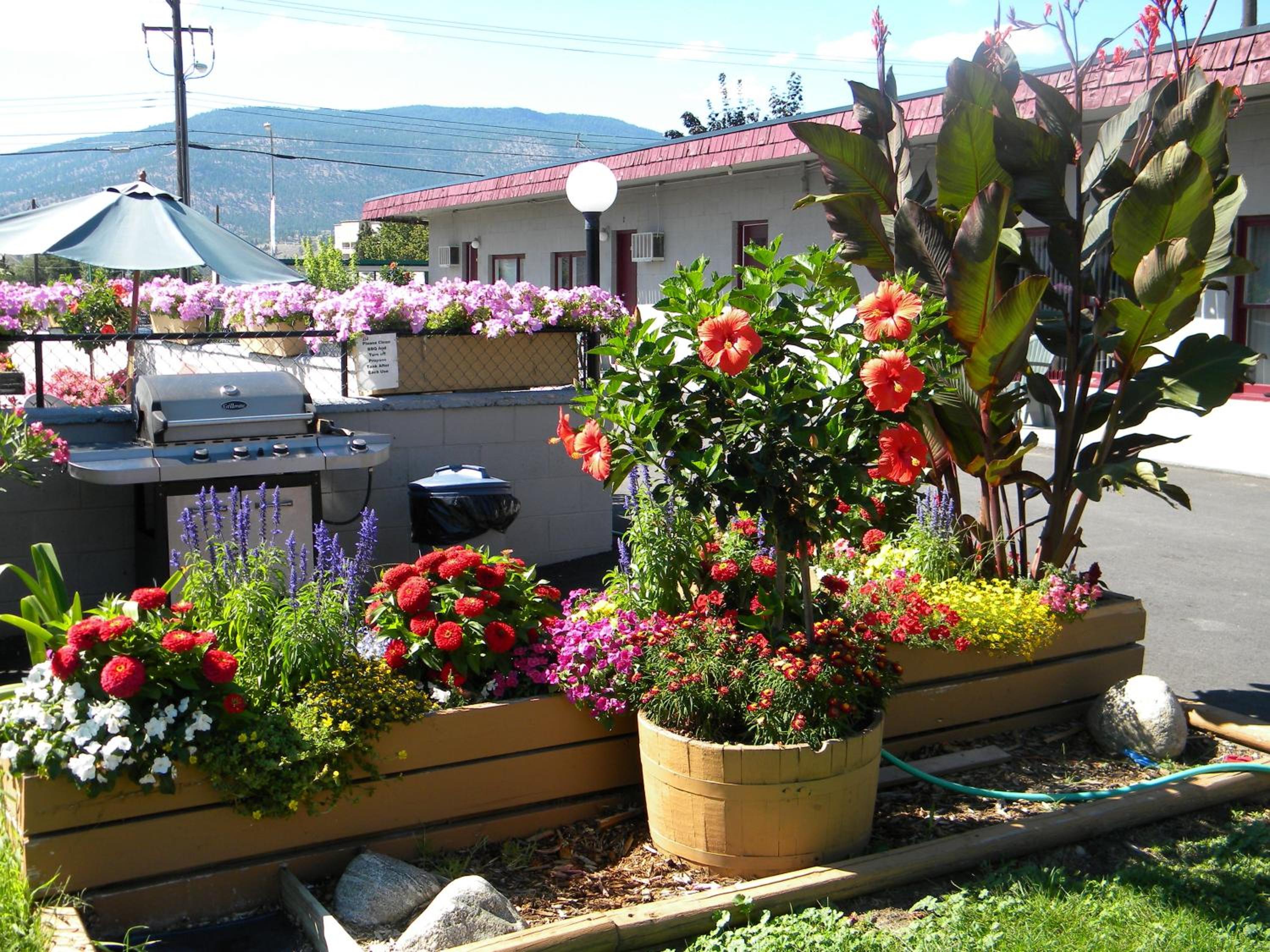 Apple Tree Inn