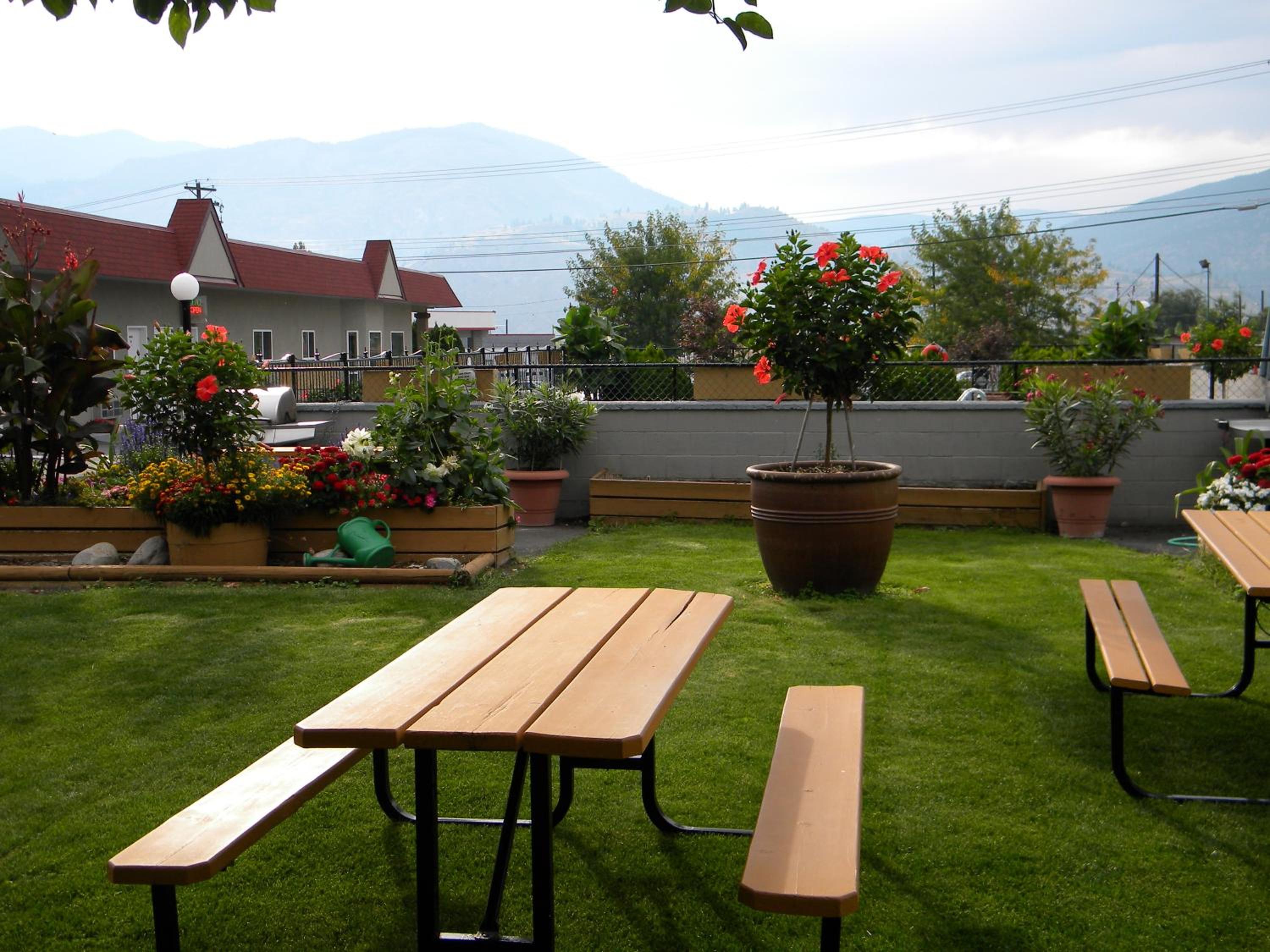 Apple Tree Inn