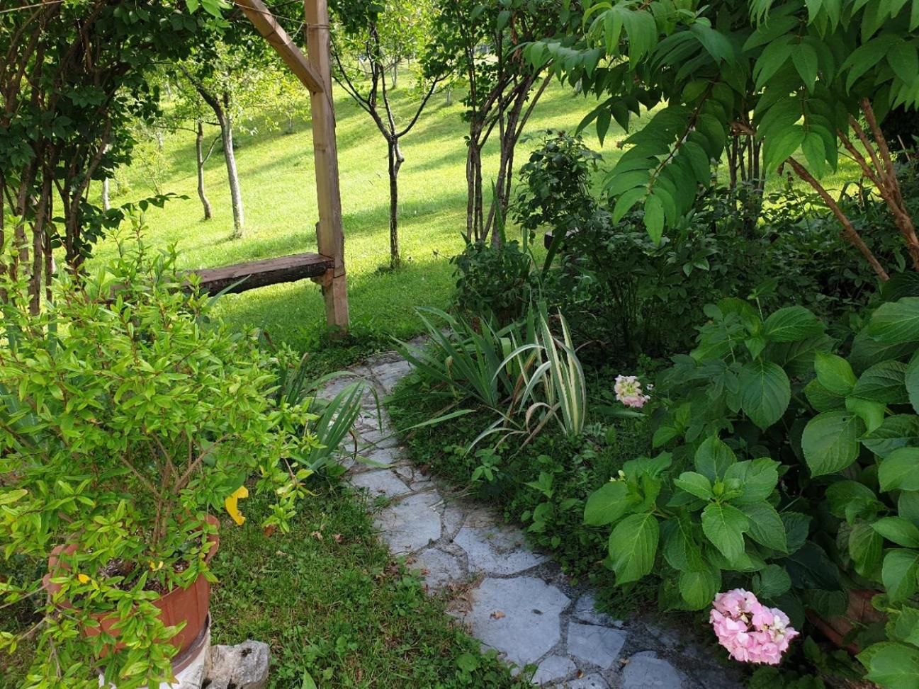 Photo 7