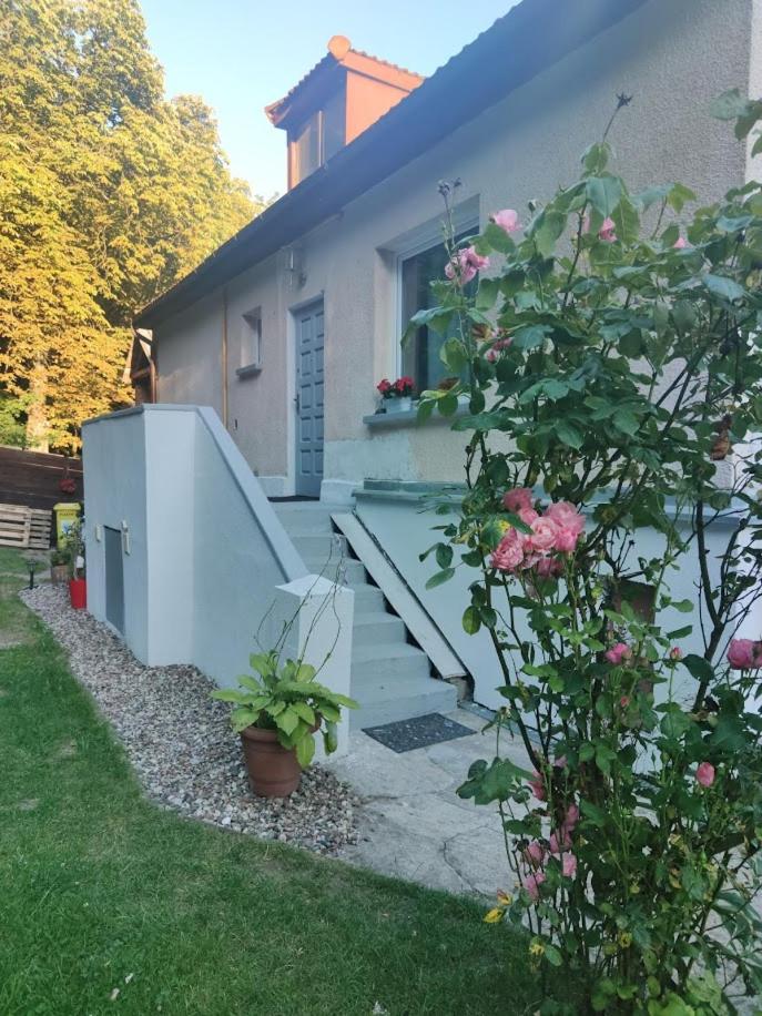 Apartament w sąsiedztwie lasu 1800m od morza view 2