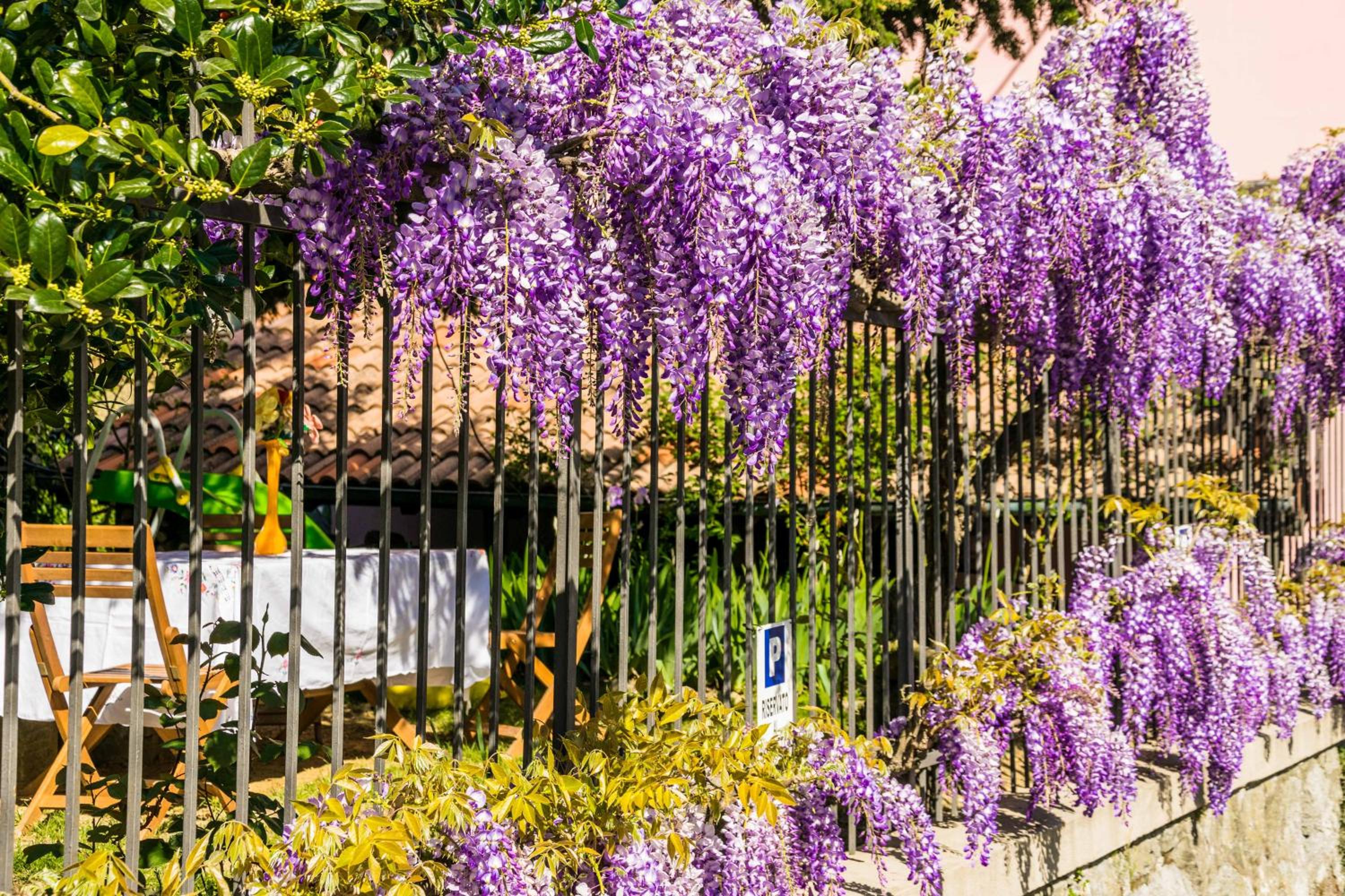 B&B Il Glicine Molare view 5