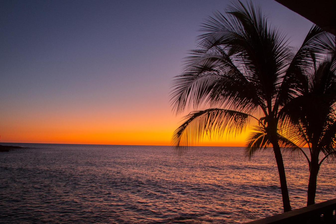 Kona Tiki Hotel - No Resort Fees view 4
