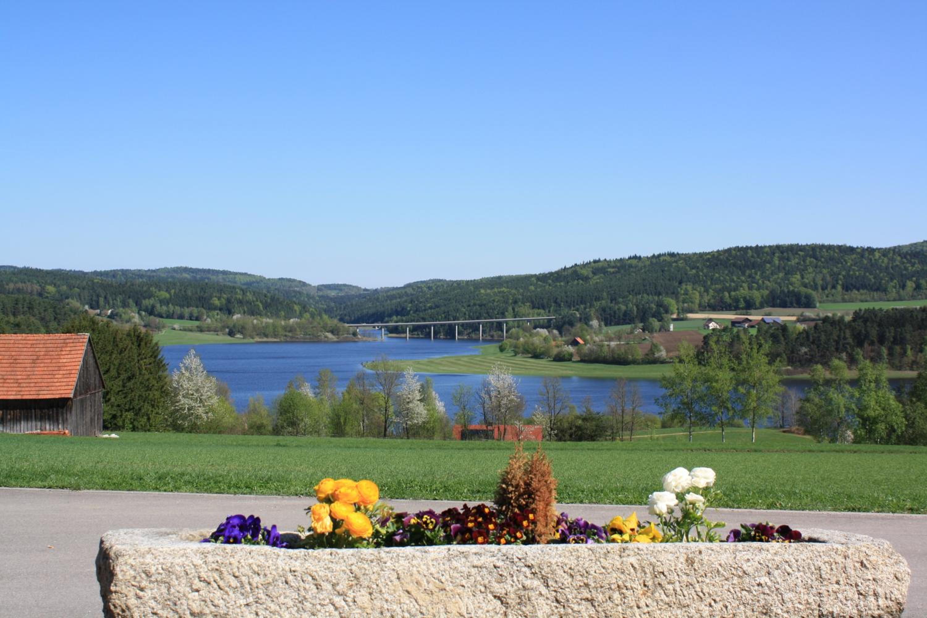 Panorama-Hotel am See - Property Image 12