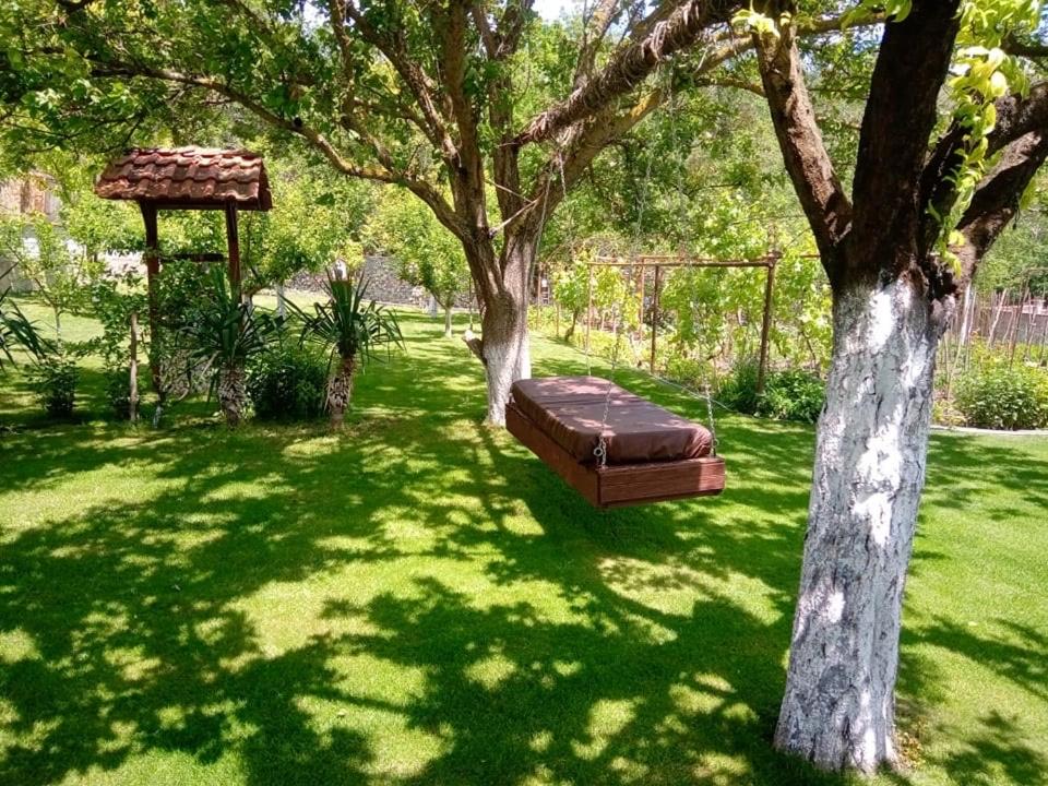 Vila Roza