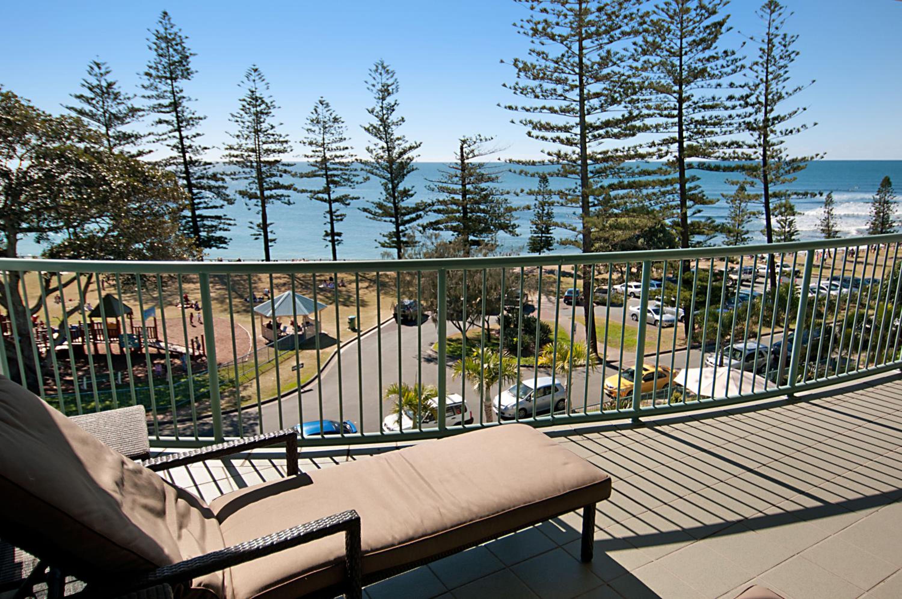 The Norfolks on Moffat Beach