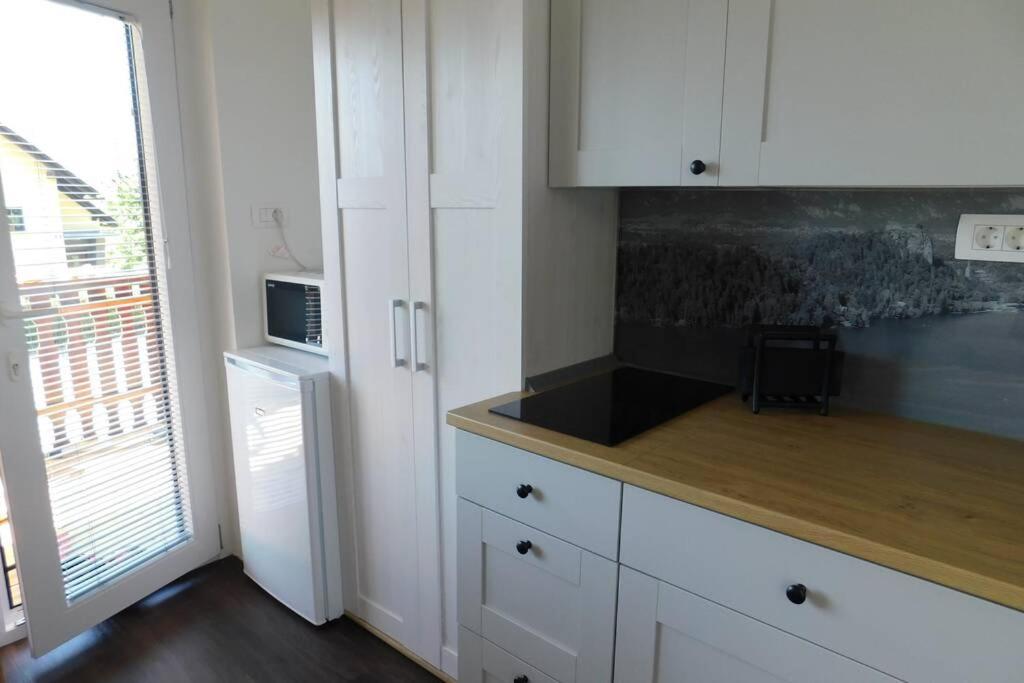 Zemva Stays - JT Apartma, free bikes, big garden with terrace