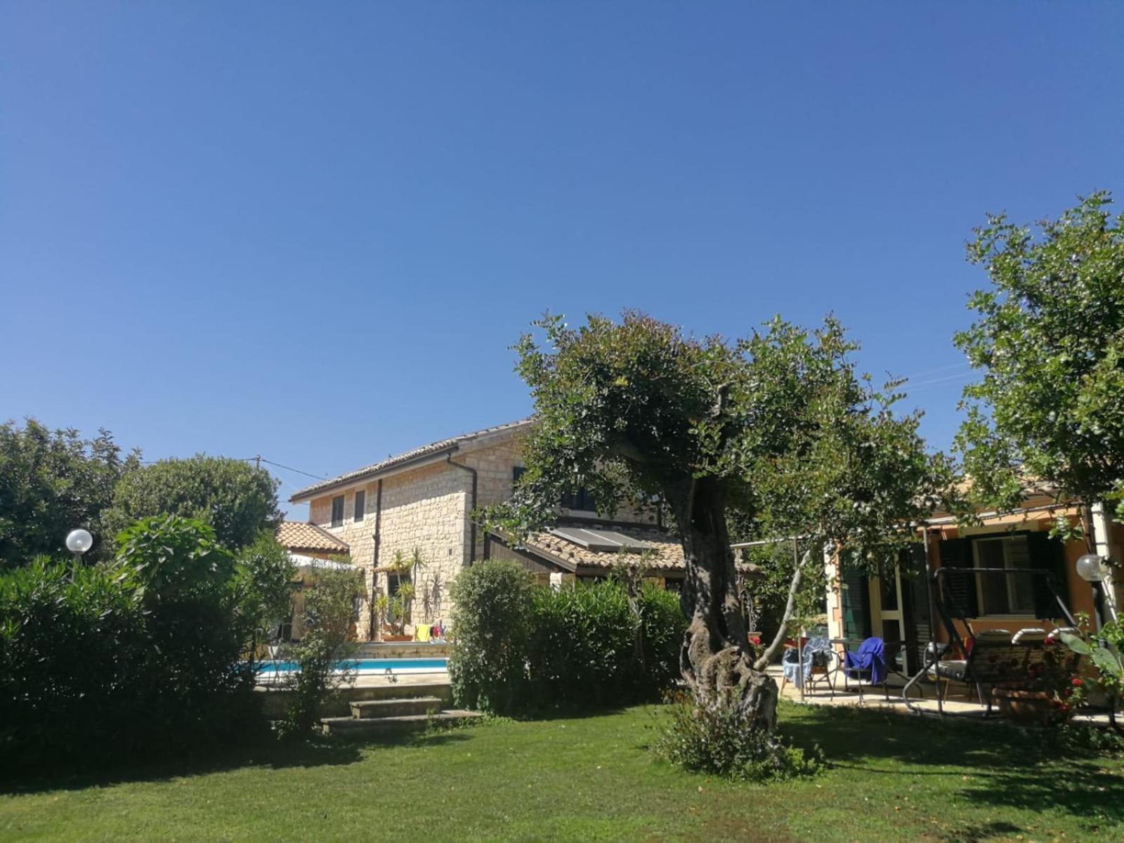 Photo 46