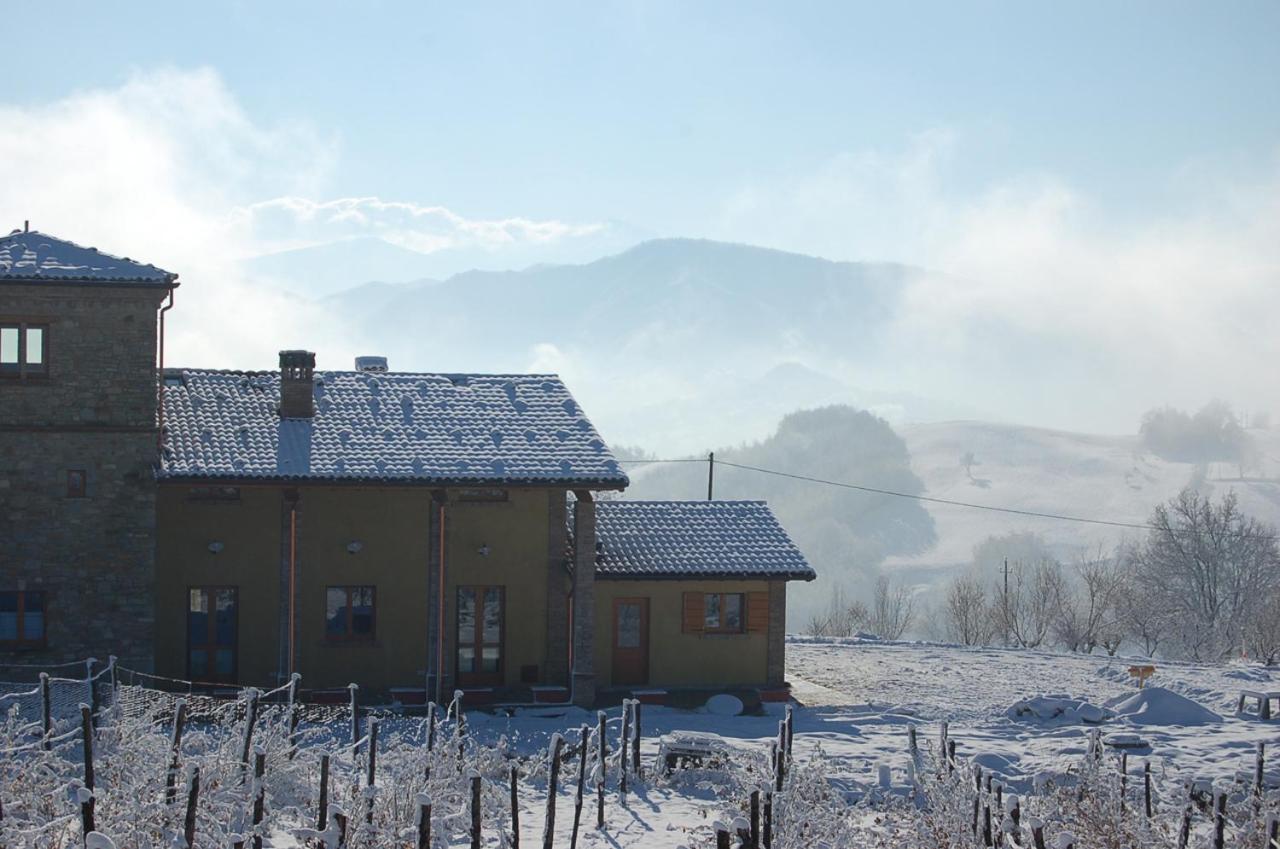 Agriturismo Il Filare view 4