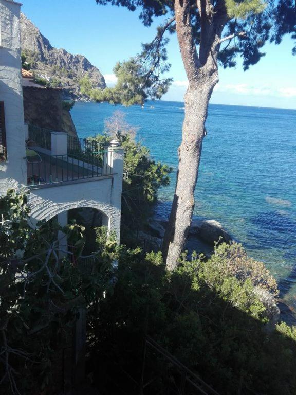 La terrazza sul mare view 5