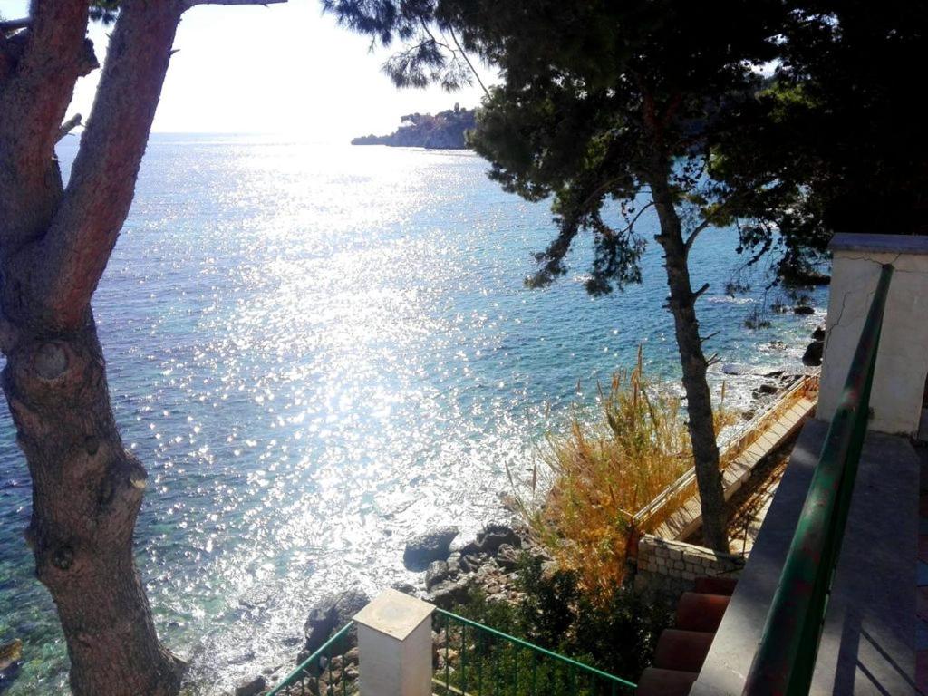 La terrazza sul mare view 4