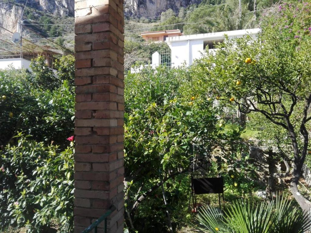 Photo 27