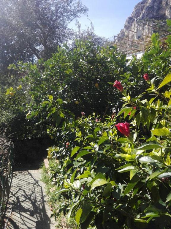 Photo 28