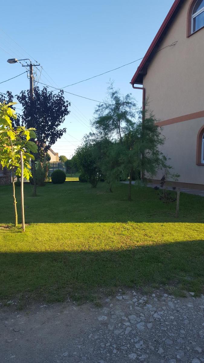 Róża view 3